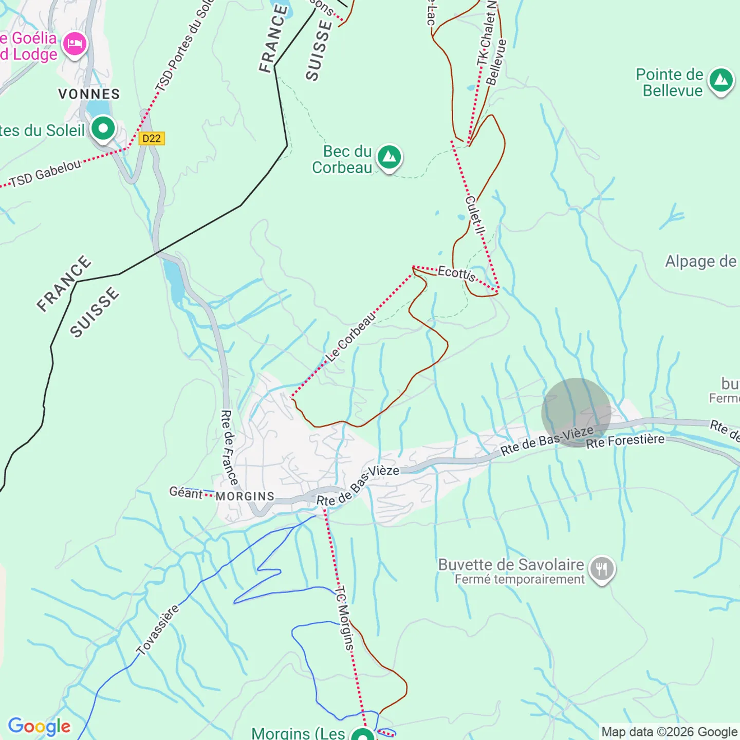 ALPINE LIFESTYLE - LESS THAN A MILLION - RARE CHALET - FOREIGNERS WELCOME - Photo 2 of 11