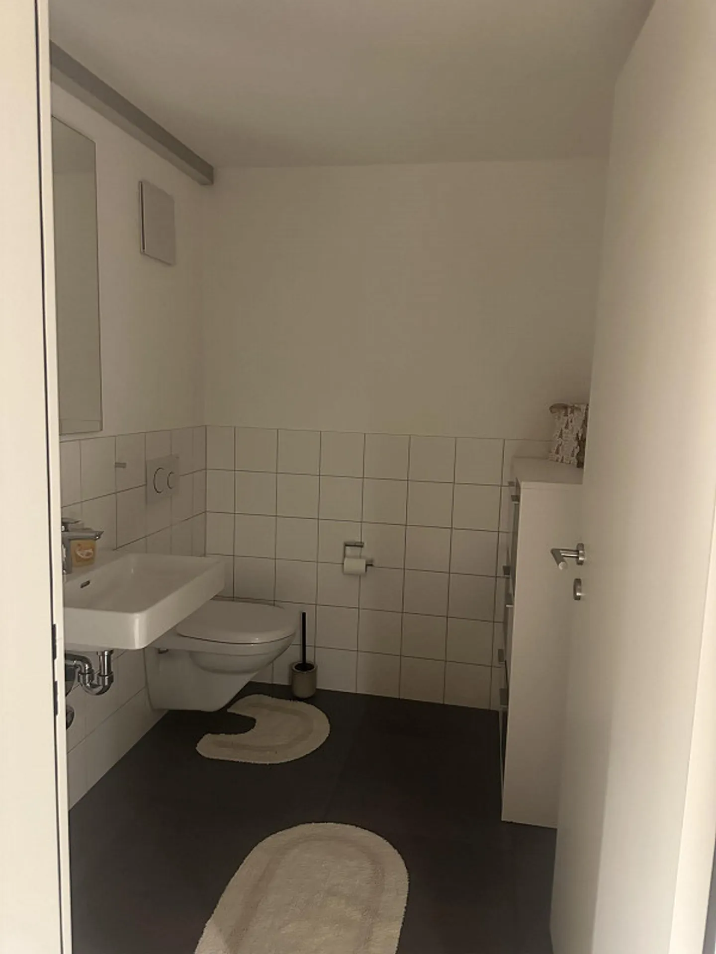 Recherche de locataire ! ✨ Appartement 2.5 pièces à Buchs SG - Photo 7 sur 10