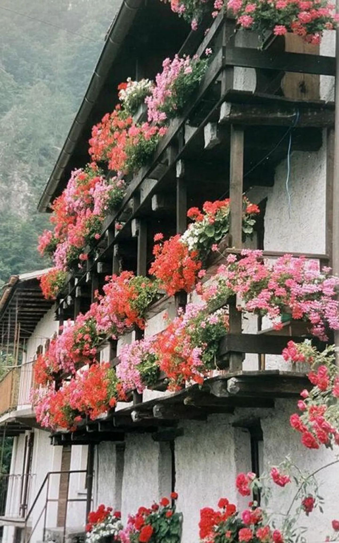 Renovated 3 ½ Room Apartment, on the 2nd Floor with Rooftop Terrace - Photo 1 of 5