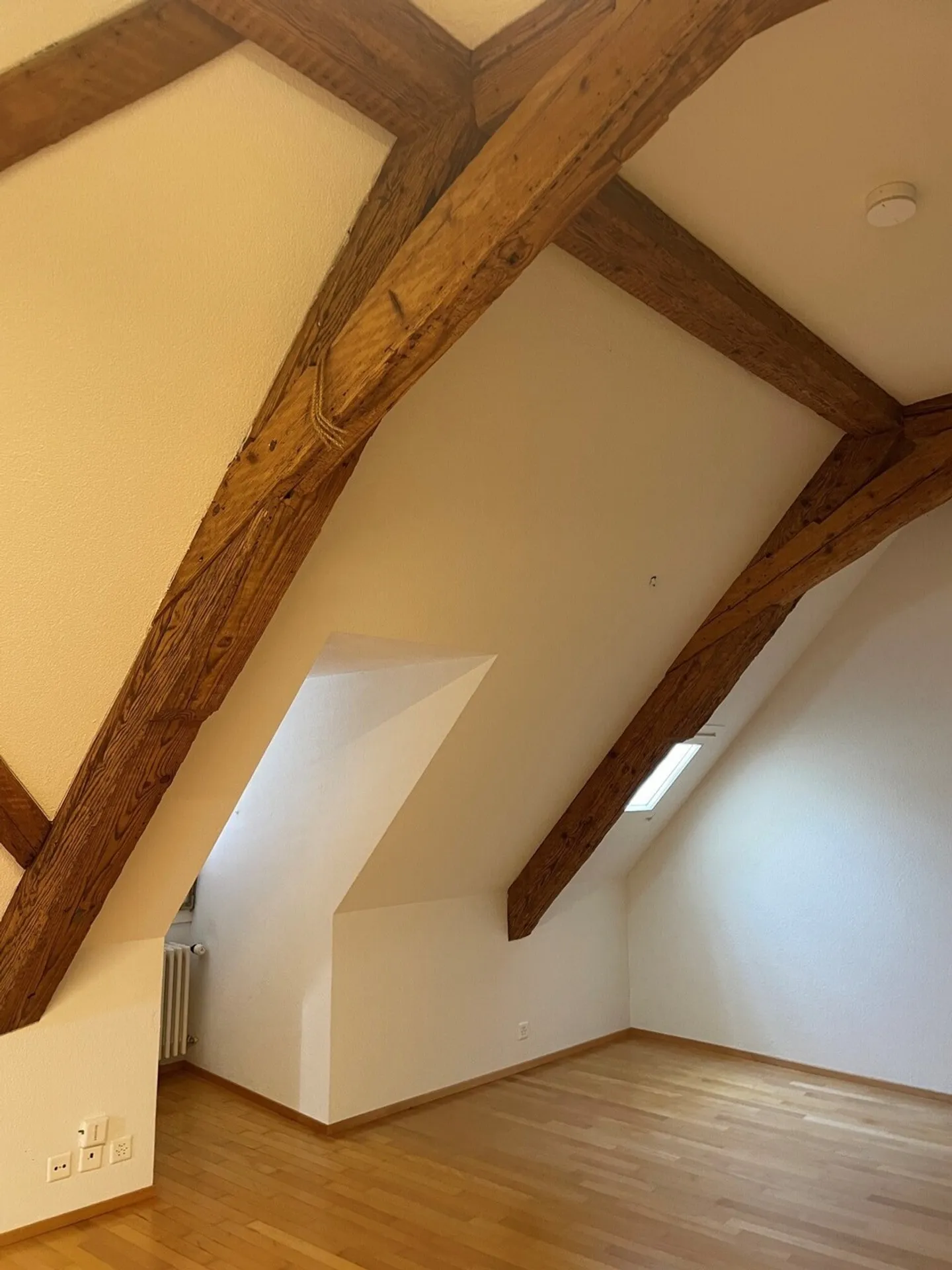 Charming Attic Apartment in Lucerne - Photo 7 of 8