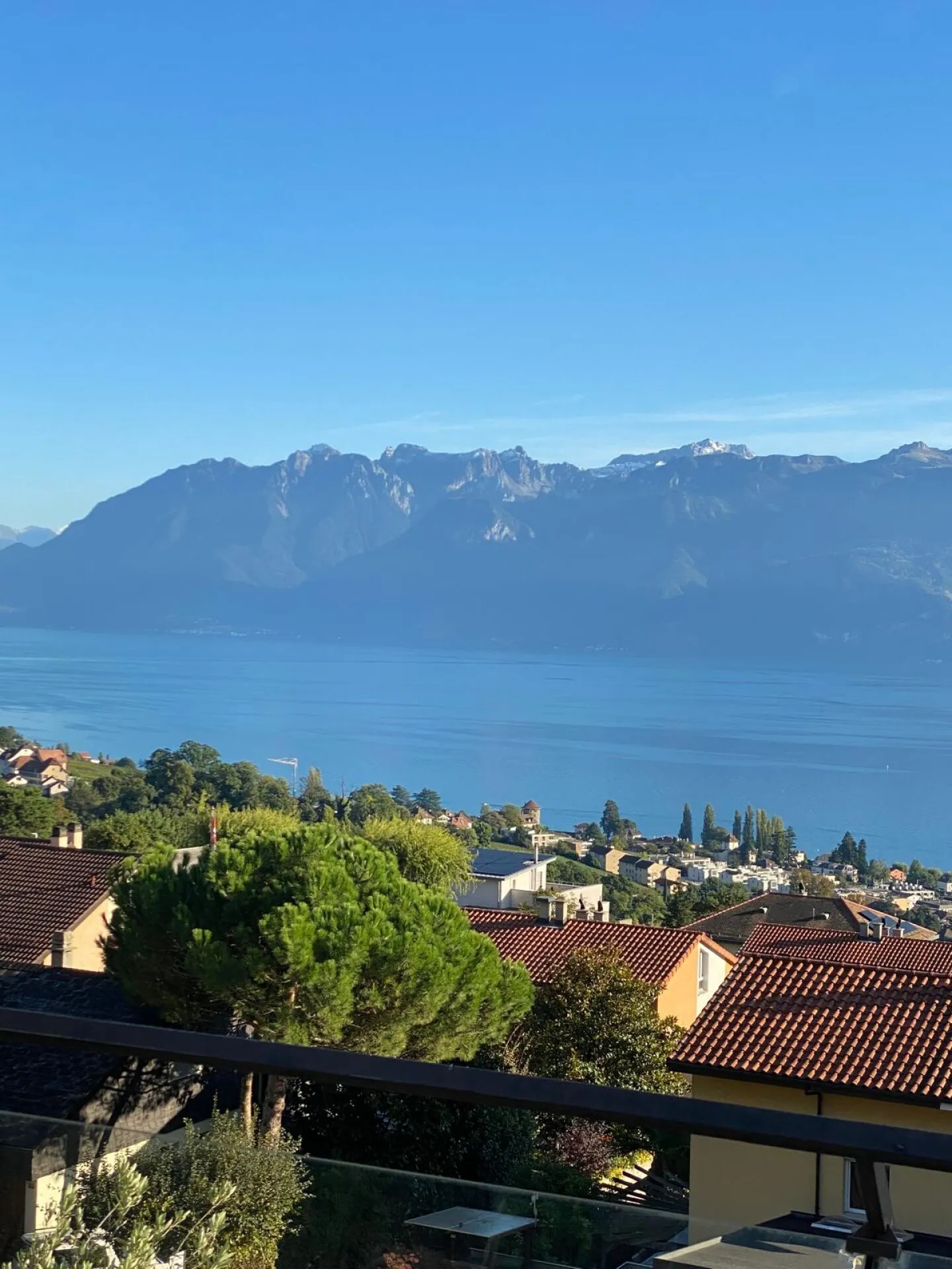The Conversion - Duplex Apartment with Grand View of the Lake and the Alps, Opposite EVIAN - Photo 1 of 10