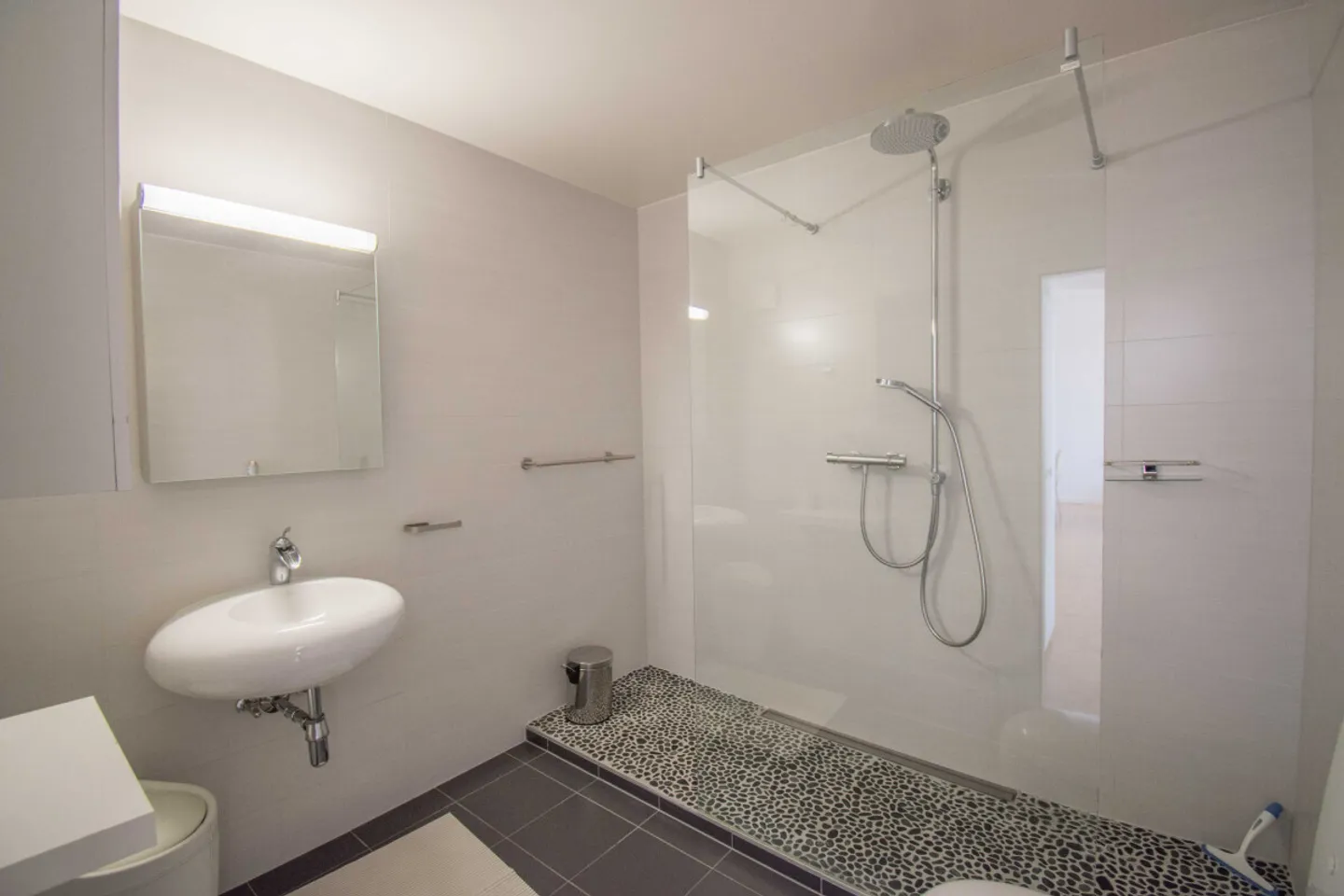 SUPERB 2.5p furnished WITH LAKE VIEW - Photo 6 of 7