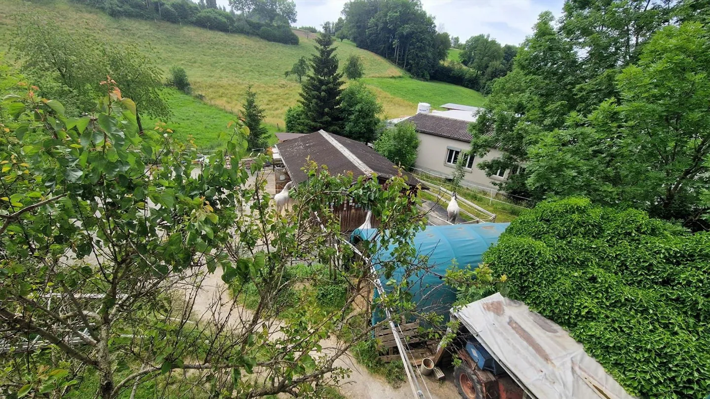 MFH with 2 units with development potential - Photo 7 of 13