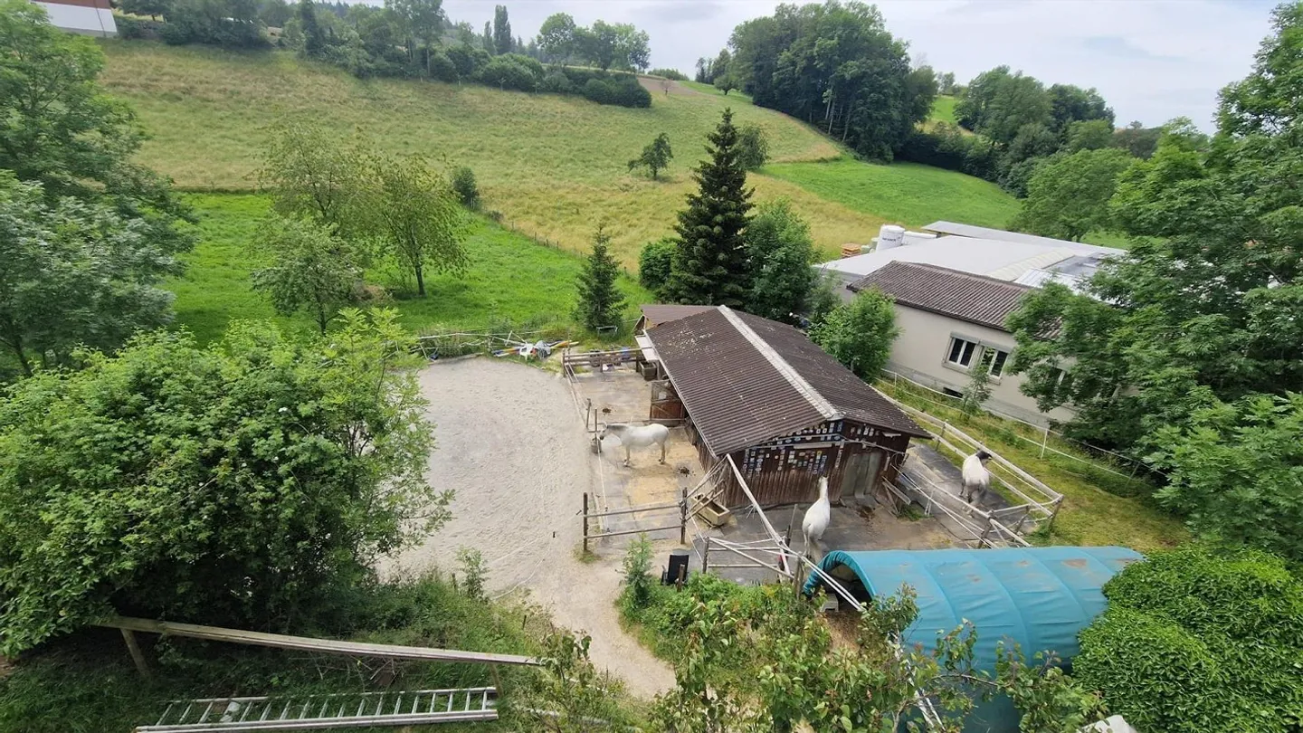 MFH with 2 units with development potential - Photo 6 of 13