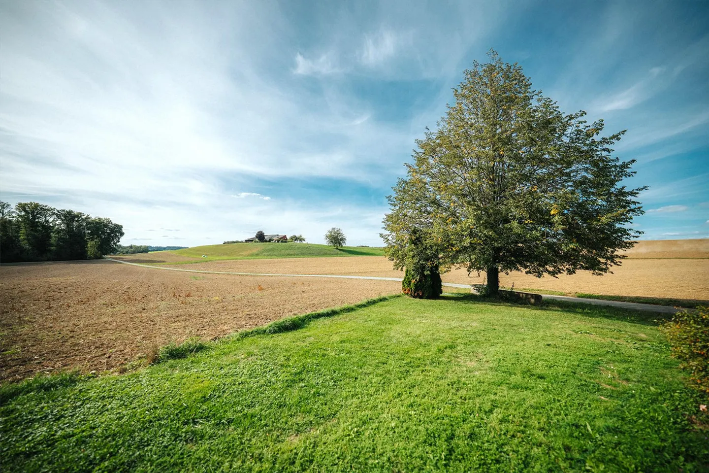 More than a farmhouse - A life in the countryside - Photo 2 of 28