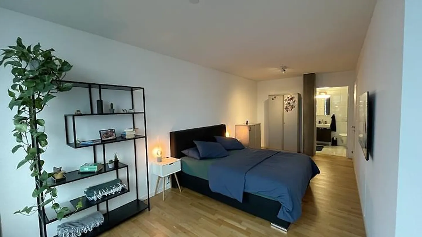 3½ ROOM APARTMENT IN ZURICH - DISTRICT 5 ESCHER WYSS, FURNISHED, TEMPORARY - Photo 5 of 9