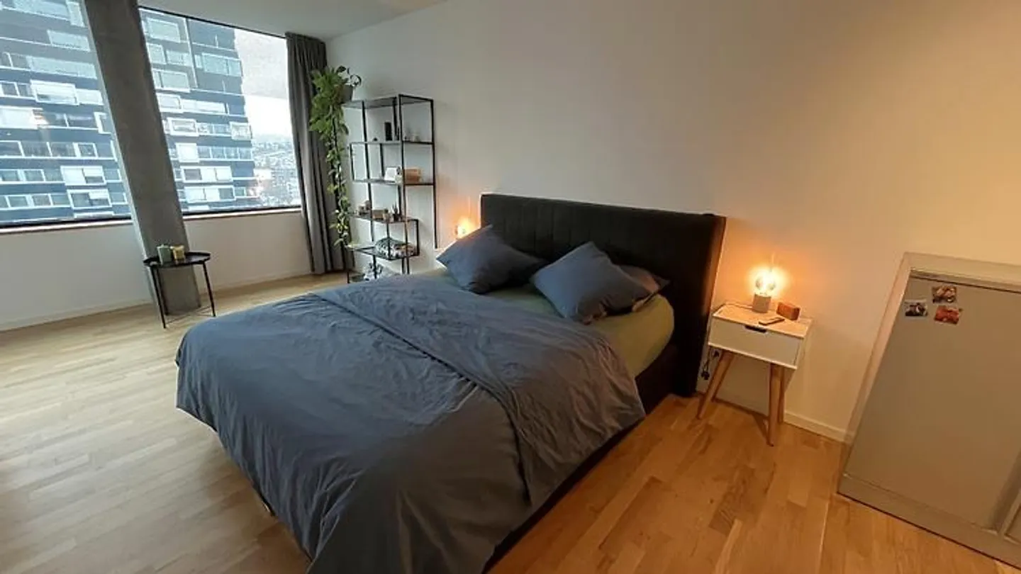 3½ ROOM APARTMENT IN ZURICH - DISTRICT 5 ESCHER WYSS, FURNISHED, TEMPORARY - Photo 6 of 9