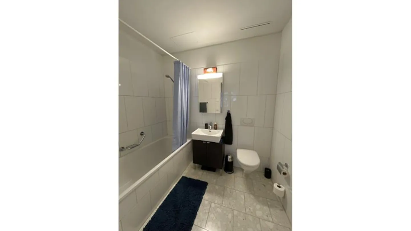 3½ ROOM APARTMENT IN ZURICH - DISTRICT 5 ESCHER WYSS, FURNISHED, TEMPORARY - Photo 9 of 9