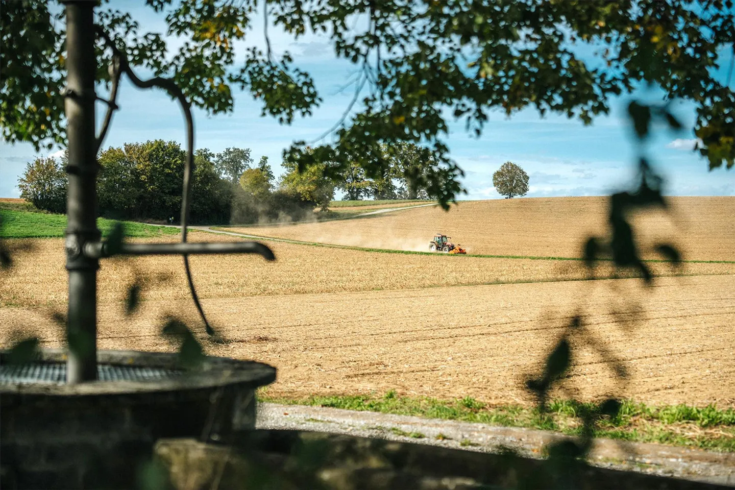 More than a farmhouse - A life in the countryside - Photo 23 of 28
