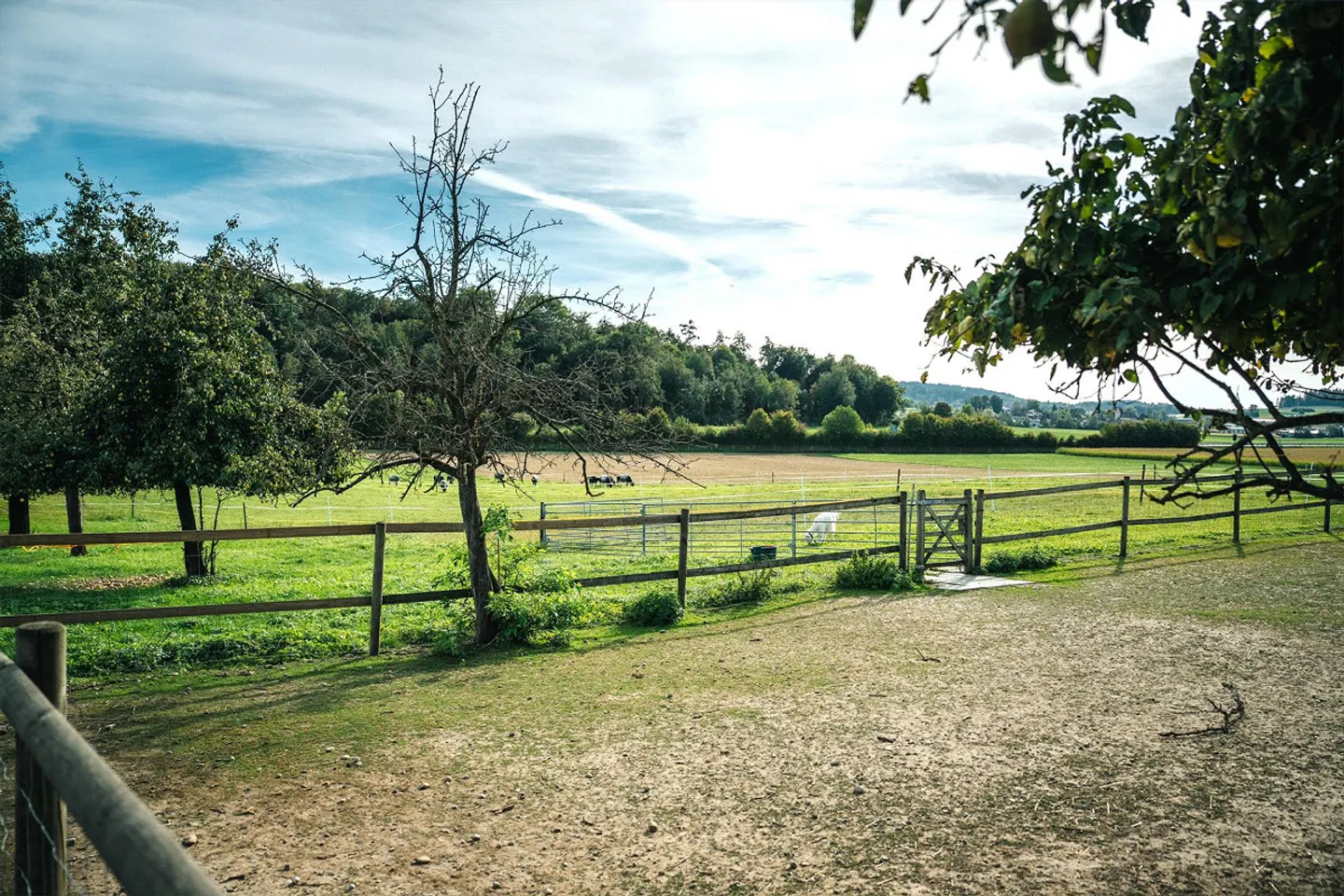 More than a farmhouse - A life in the countryside - Photo 26 of 28