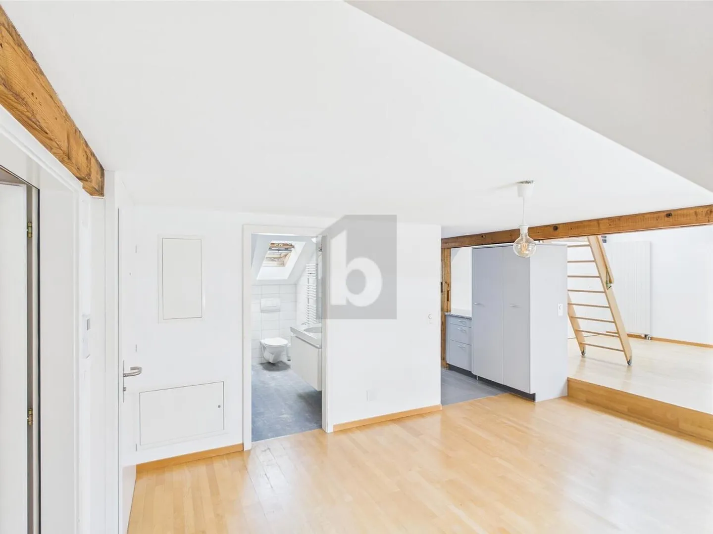 OASI DI BENESSERE LUMINOSA SOPRA I TETTI DI ZURIGO - Foto 2 di 6