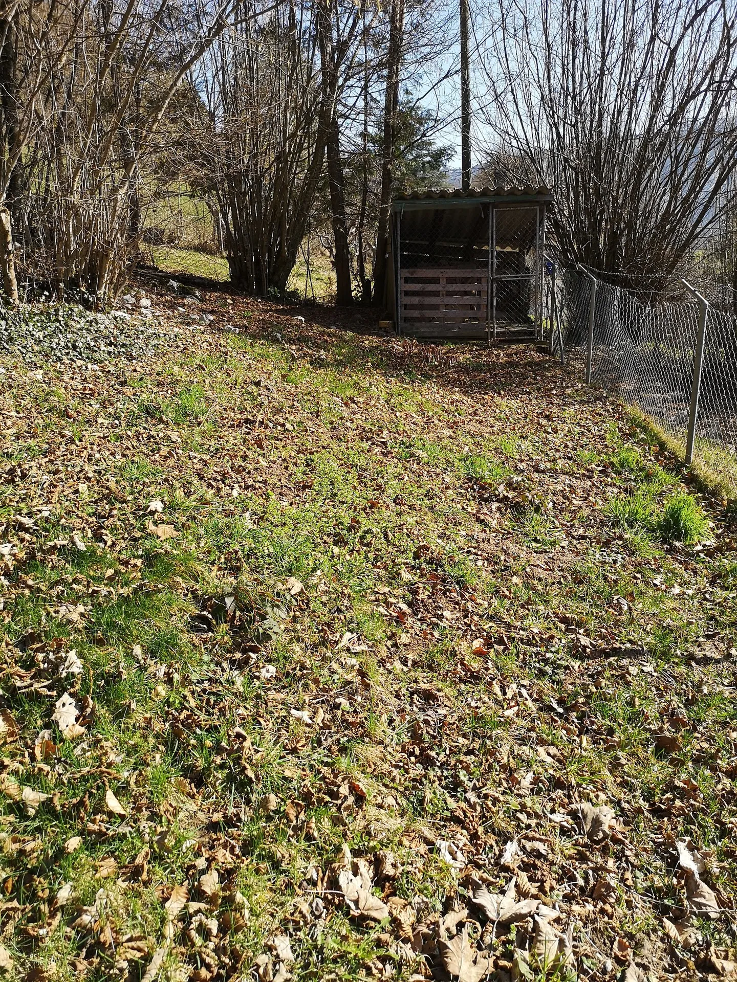 Renoviertes Haus mit großem Grundstück, Veranda, 2 Terrassen, 2 Garagen - Foto 14 von 42