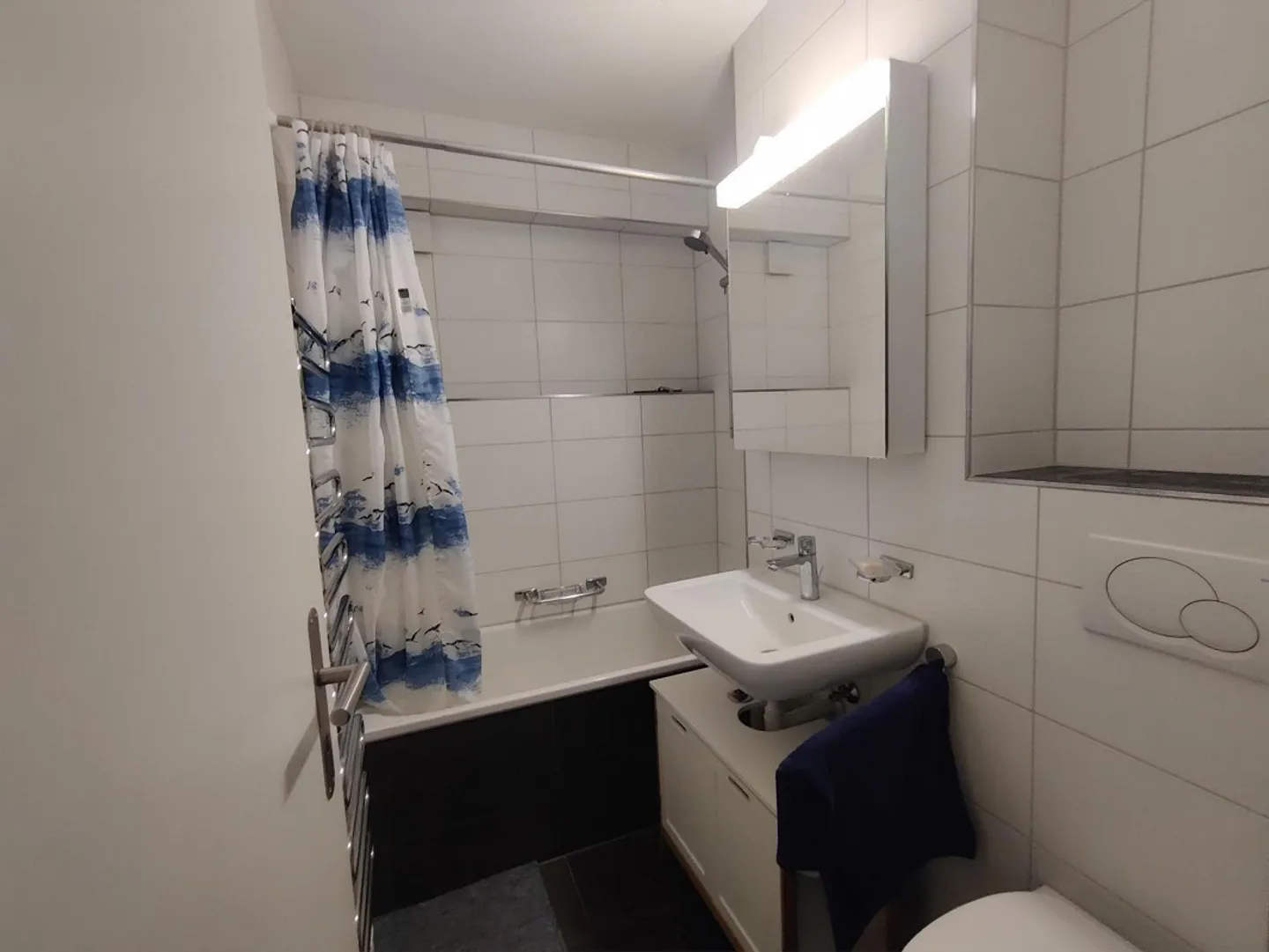 Gemütliche Wohnung mit Balkon in Zürich - Foto 7 von 9