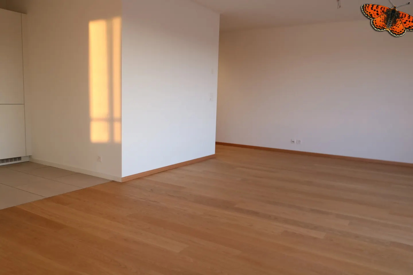 Spacious Apartment with Terrace - Photo 6 of 15