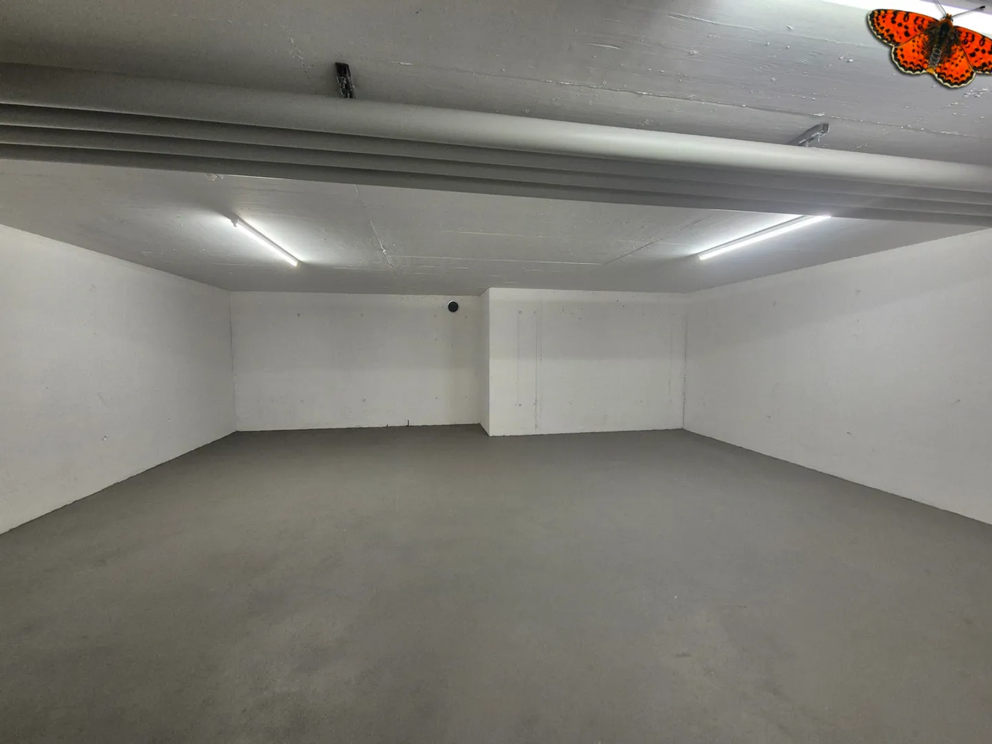GRANDE DEPOSITO IN AFFITTO 57m² - Possibilità di dividerlo in due - Foto 3 di 6