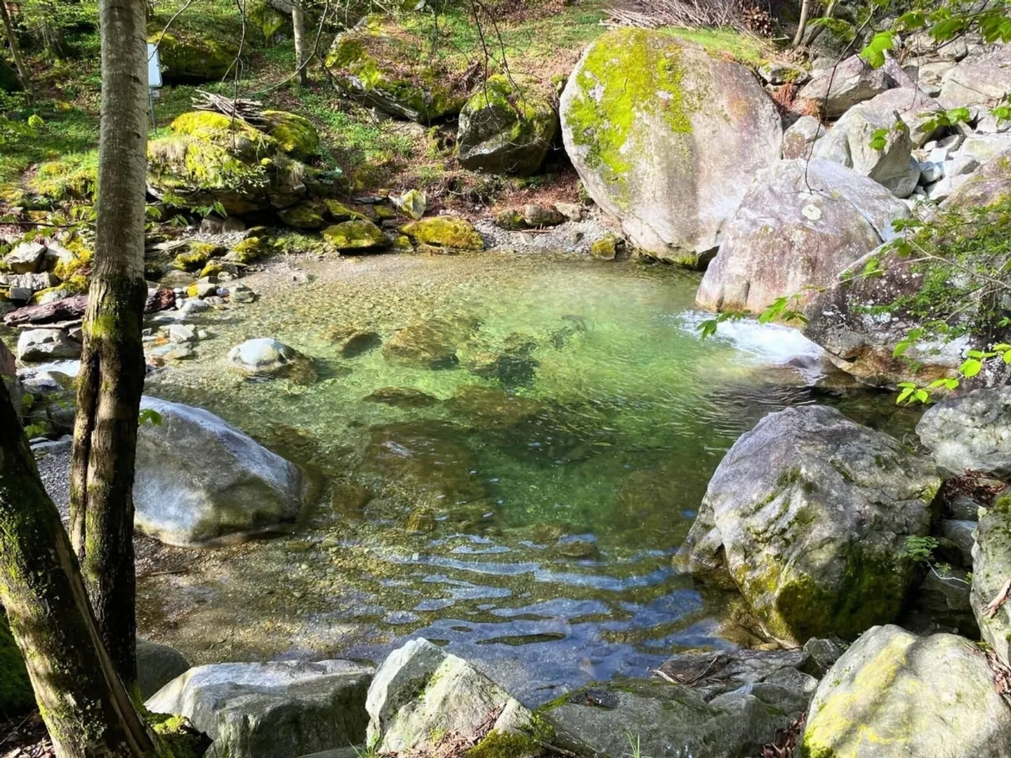 Baugrundstück mit Naturpool in Giornico - Foto 2 von 7