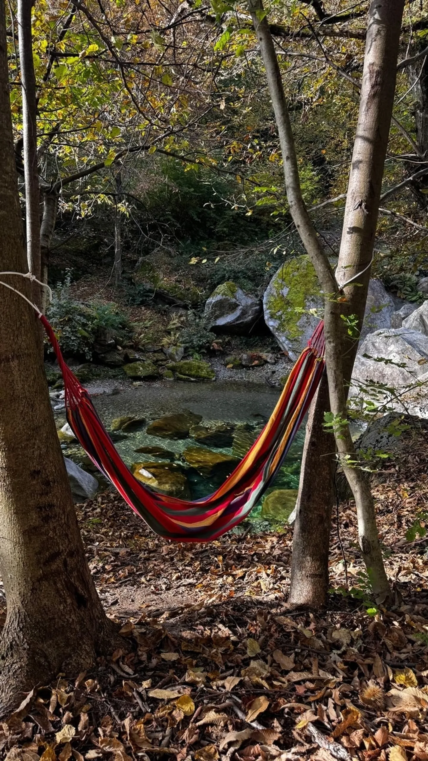 Baugrundstück mit Naturpool in Giornico - Foto 5 von 7