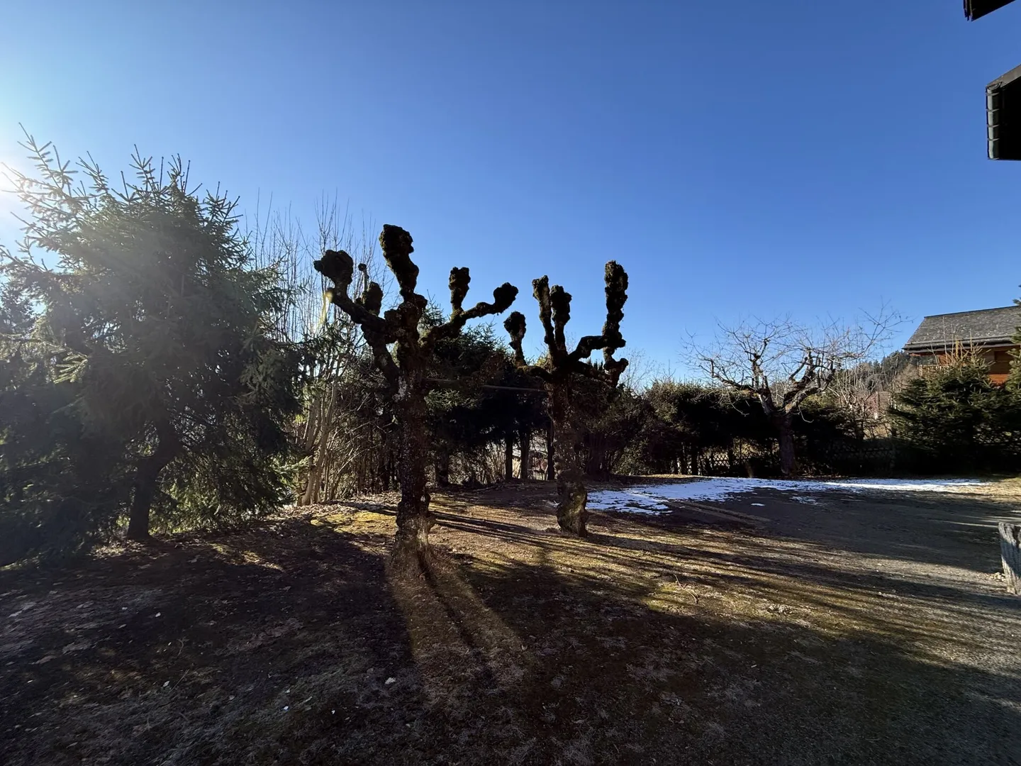 Crêt des Nex 7 - Foto 5 di 15