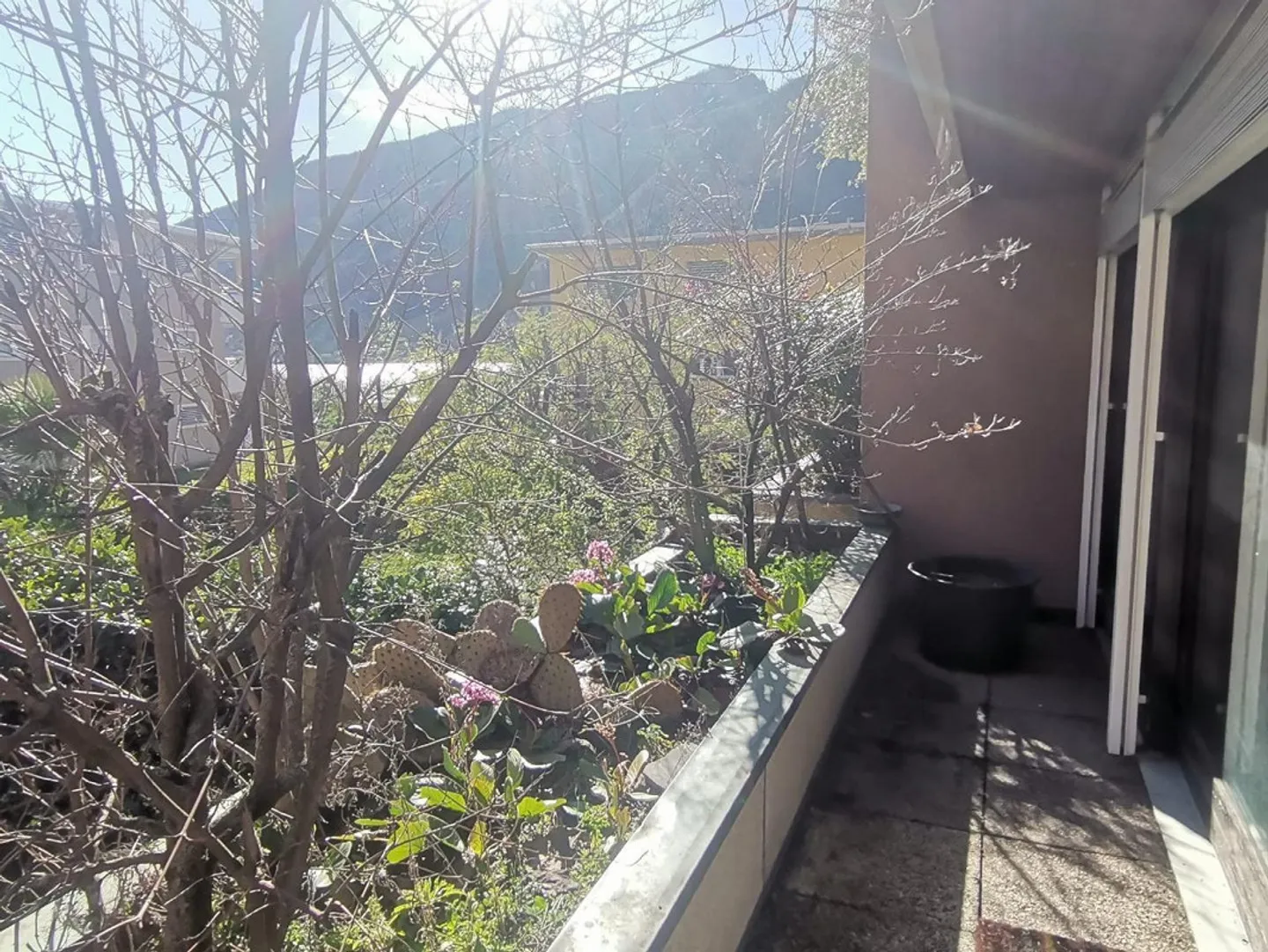 Casa singola in affitto - Foto 12 di 16