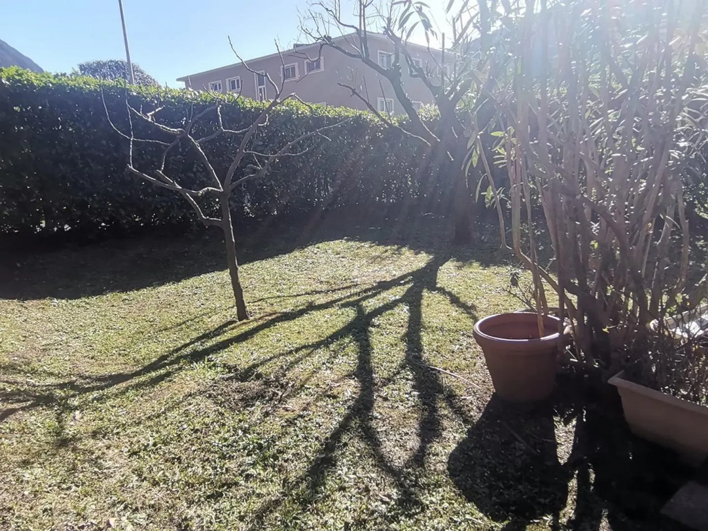 Casa singola in affitto - Foto 14 di 16