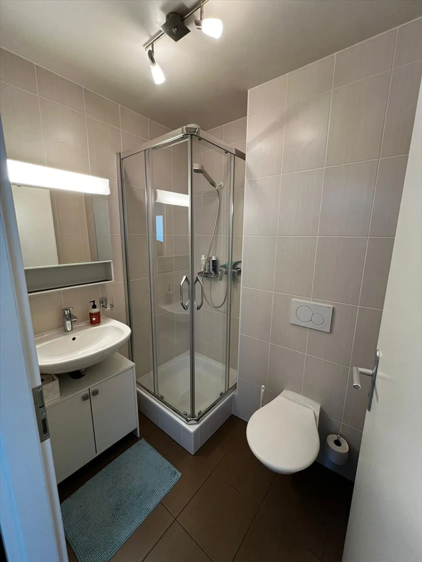 Apartment - Photo 12 of 13