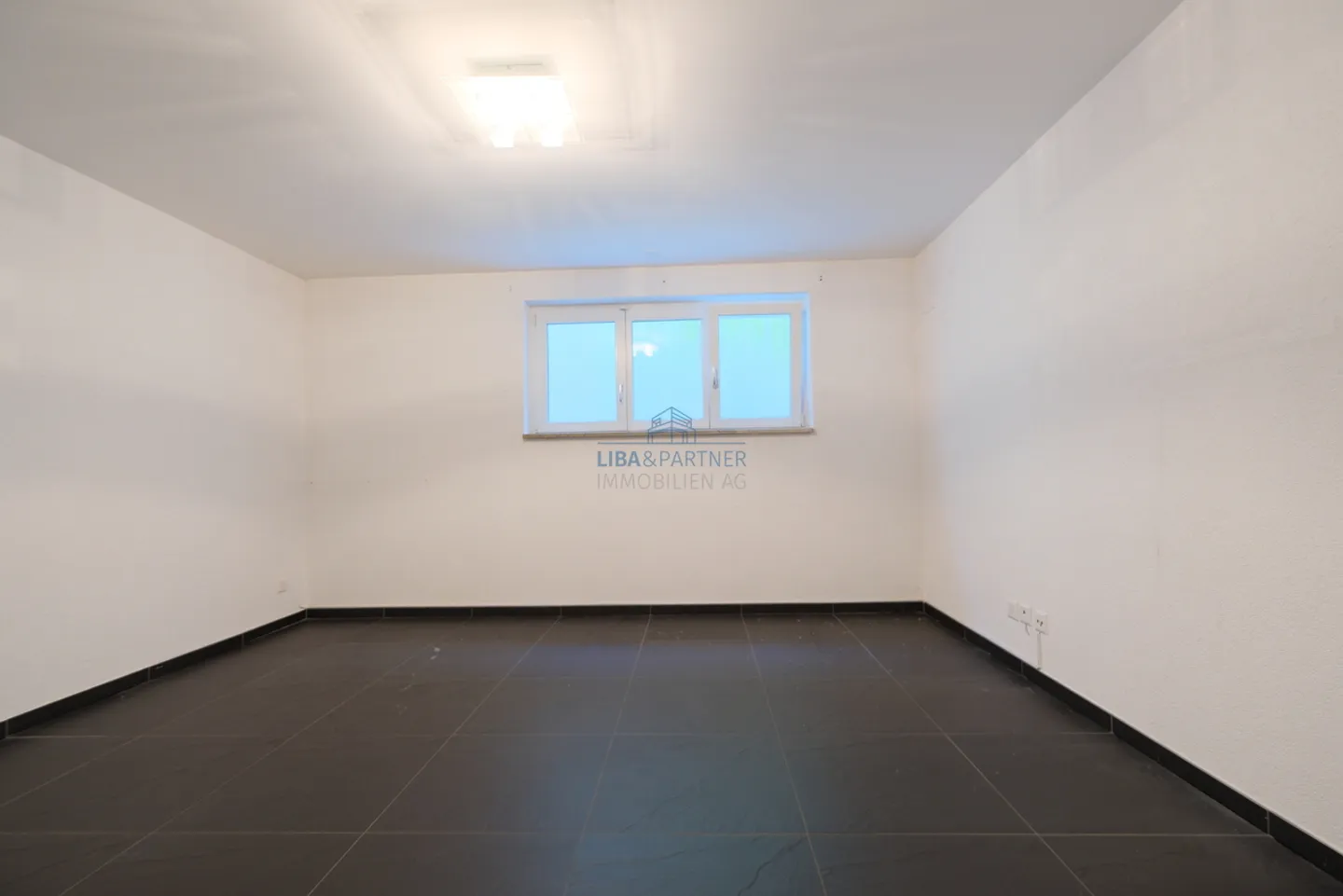 Detached House in Immediate Proximity to the Ermitage and Goetheanum - Photo 13 of 14