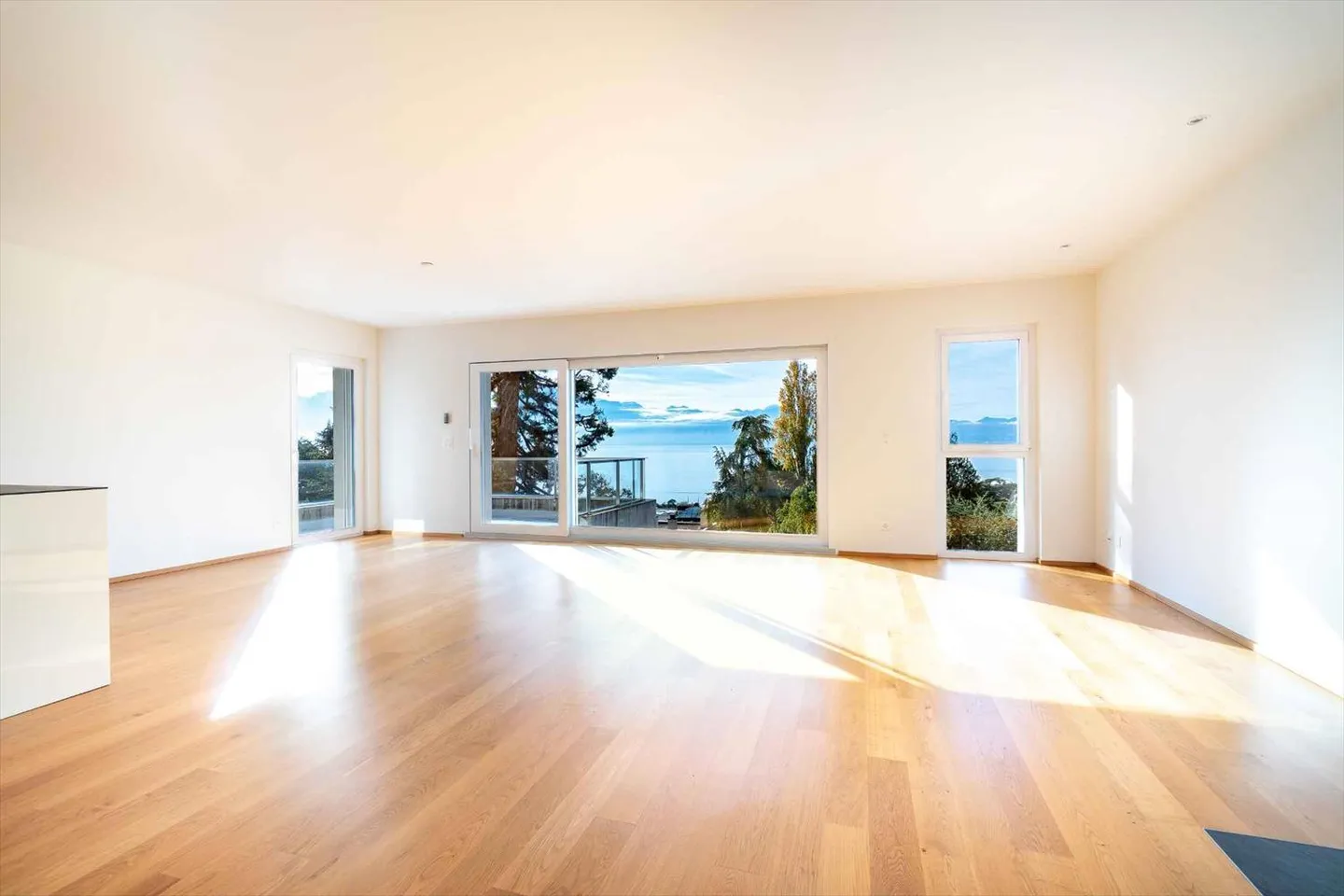 Magnificent 3.5-room penthouse apartment - Photo 2 of 12