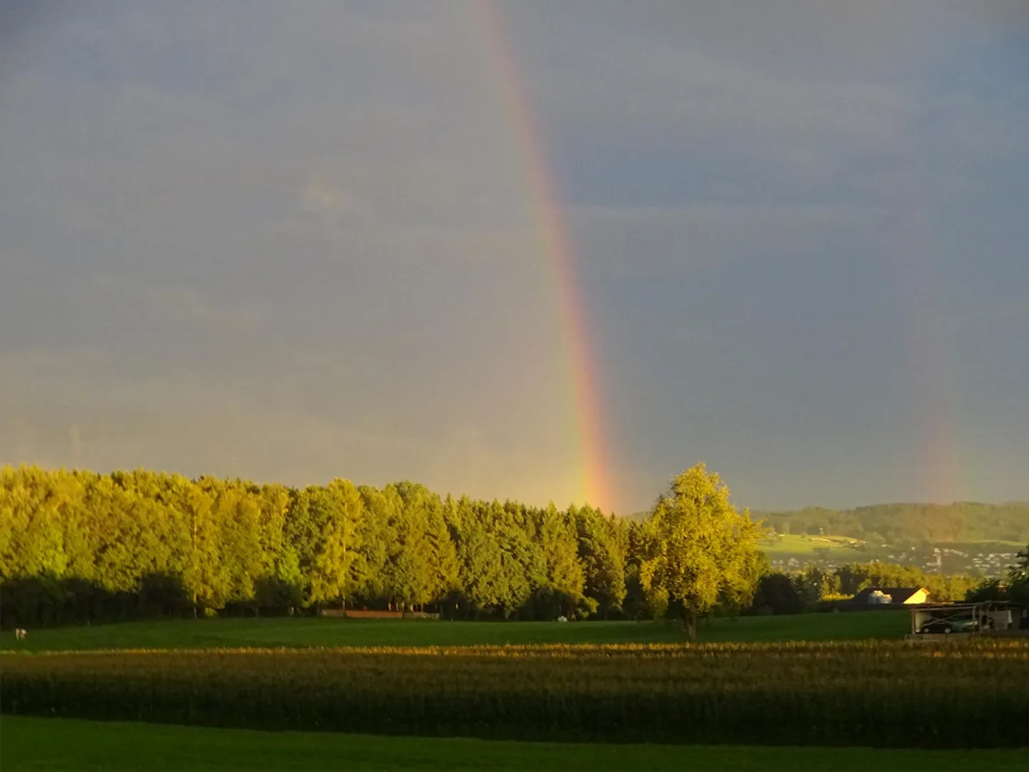 Das Wohnhaus zum Ankommen - Foto 23 von 26