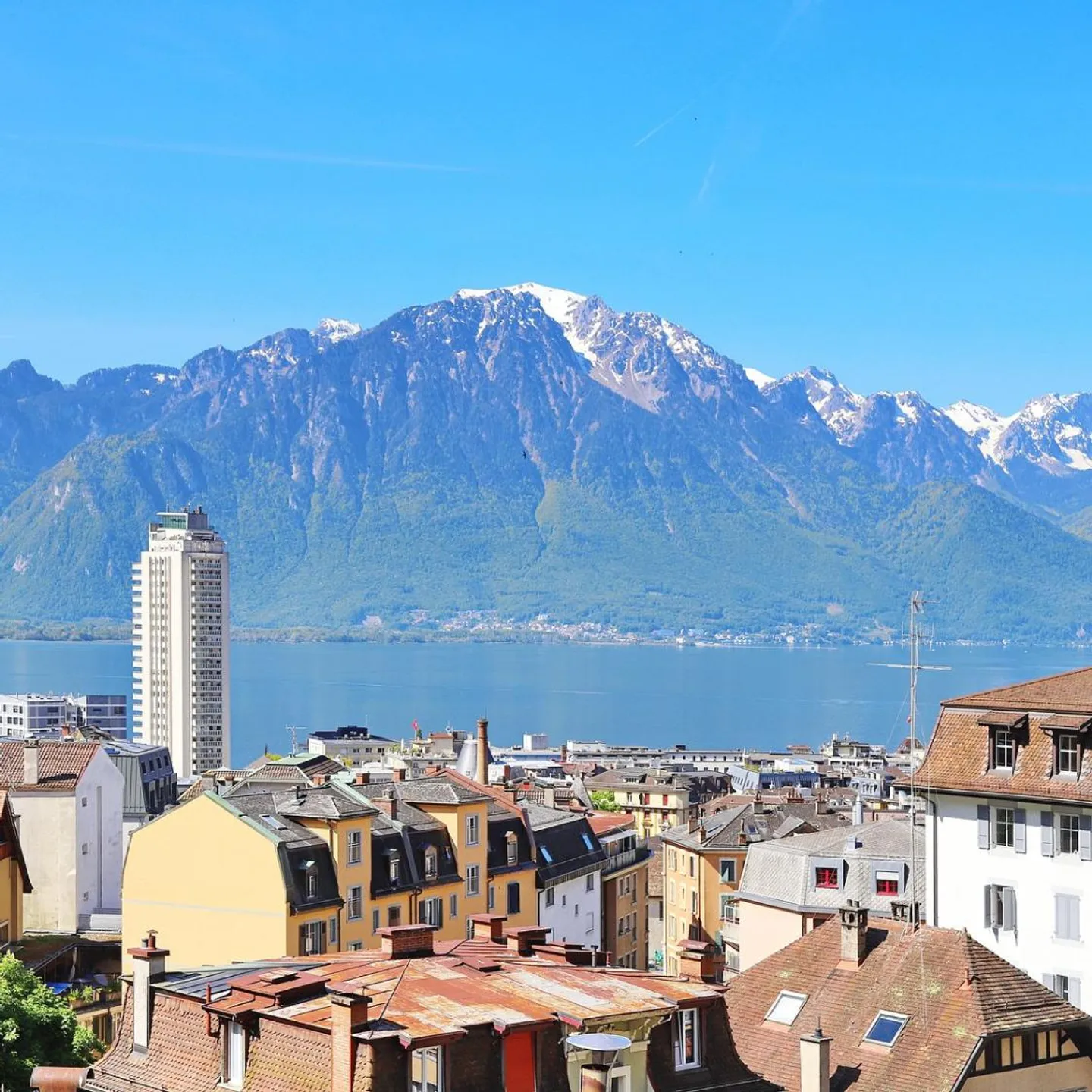 INVESTMENT OPPORTUNITY · MONTREUX CENTER - Photo 4 of 4