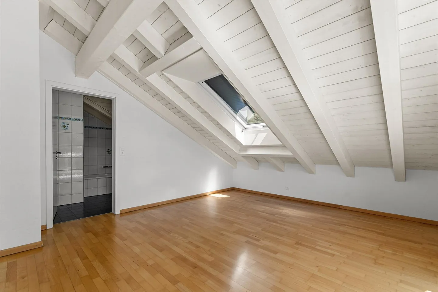 Large 5.5 Room Maisonette-Attic Apartment with Lake and Mountain View - Photo 17 of 21