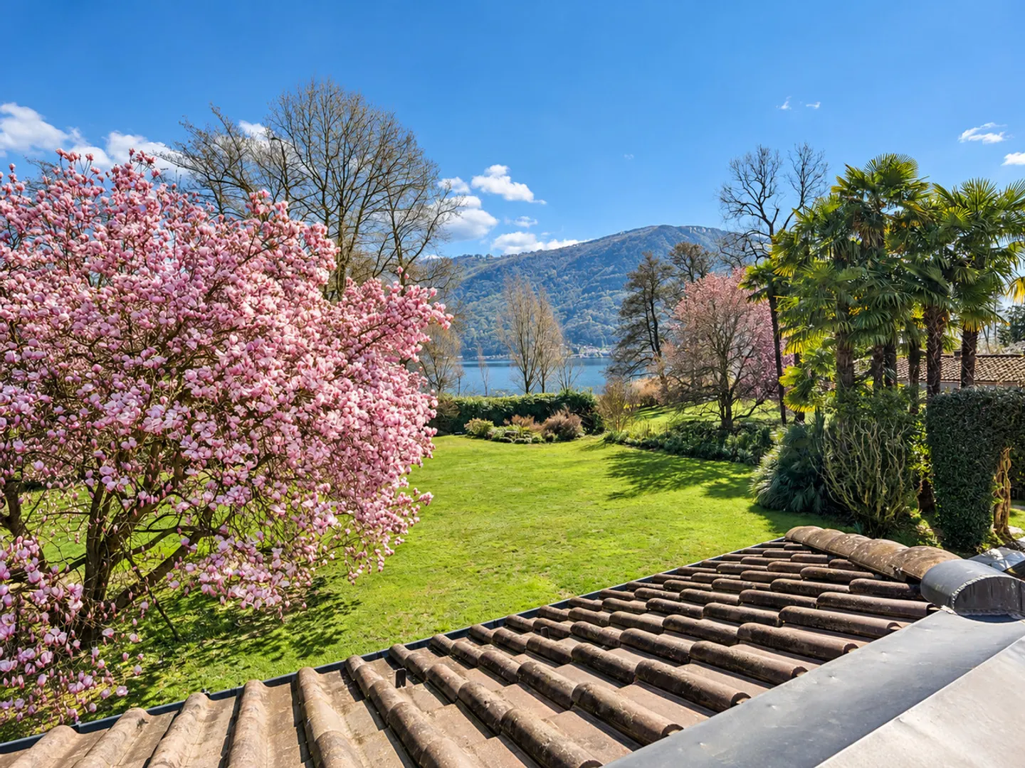 Villa Magnolia: Stunning lakefront villa in Magliaso - Photo 4 of 18