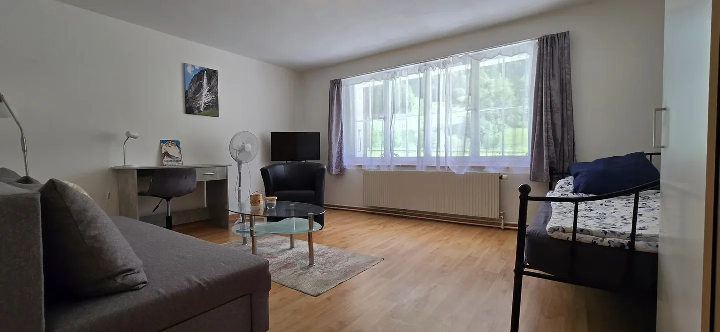 Invest where others dream - Your AirBnB gem in the Bernese Oberland - Photo 6 of 13
