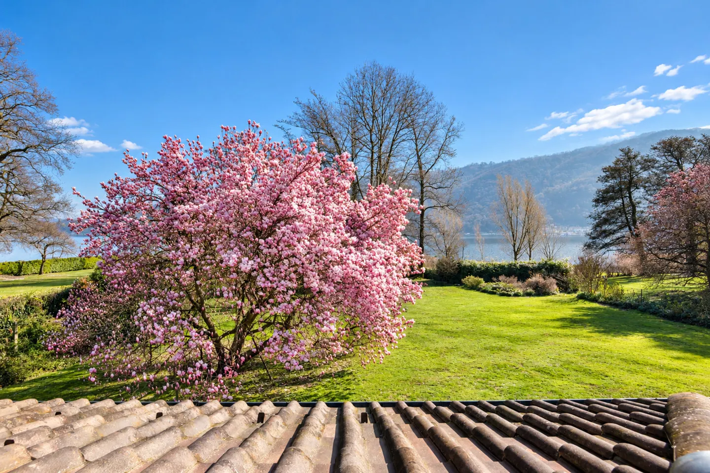 Villa Magnolia: Stunning lakefront villa in Magliaso - Photo 7 of 18