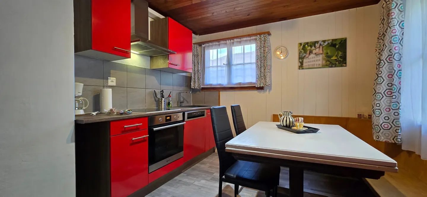 Invest where others dream - Your AirBnB gem in the Bernese Oberland - Photo 12 of 13