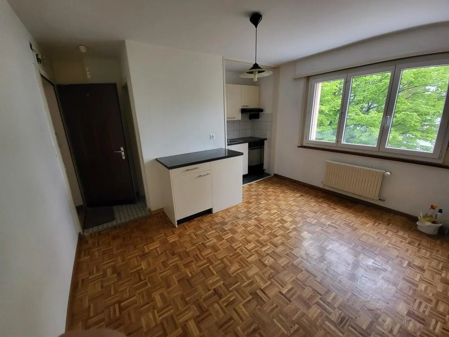 Incantevole studio nei dintorni di Friburgo - Foto 2 di 3