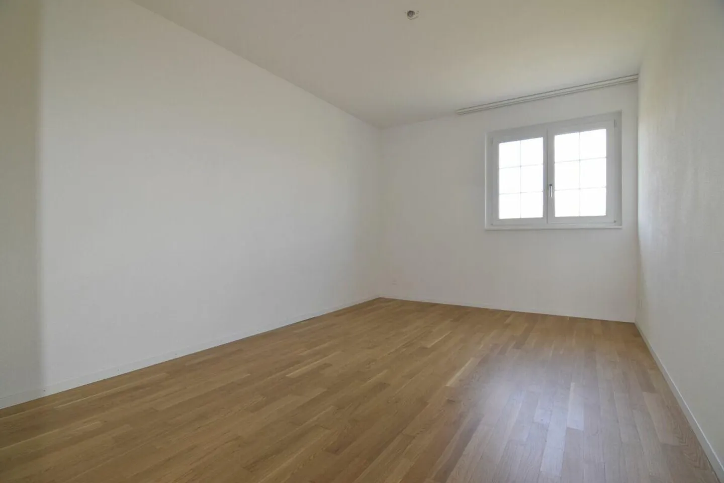 Cercasi nuovo inquilino! Appartamento moderno, ideale per single o coppie - Foto 7 di 8
