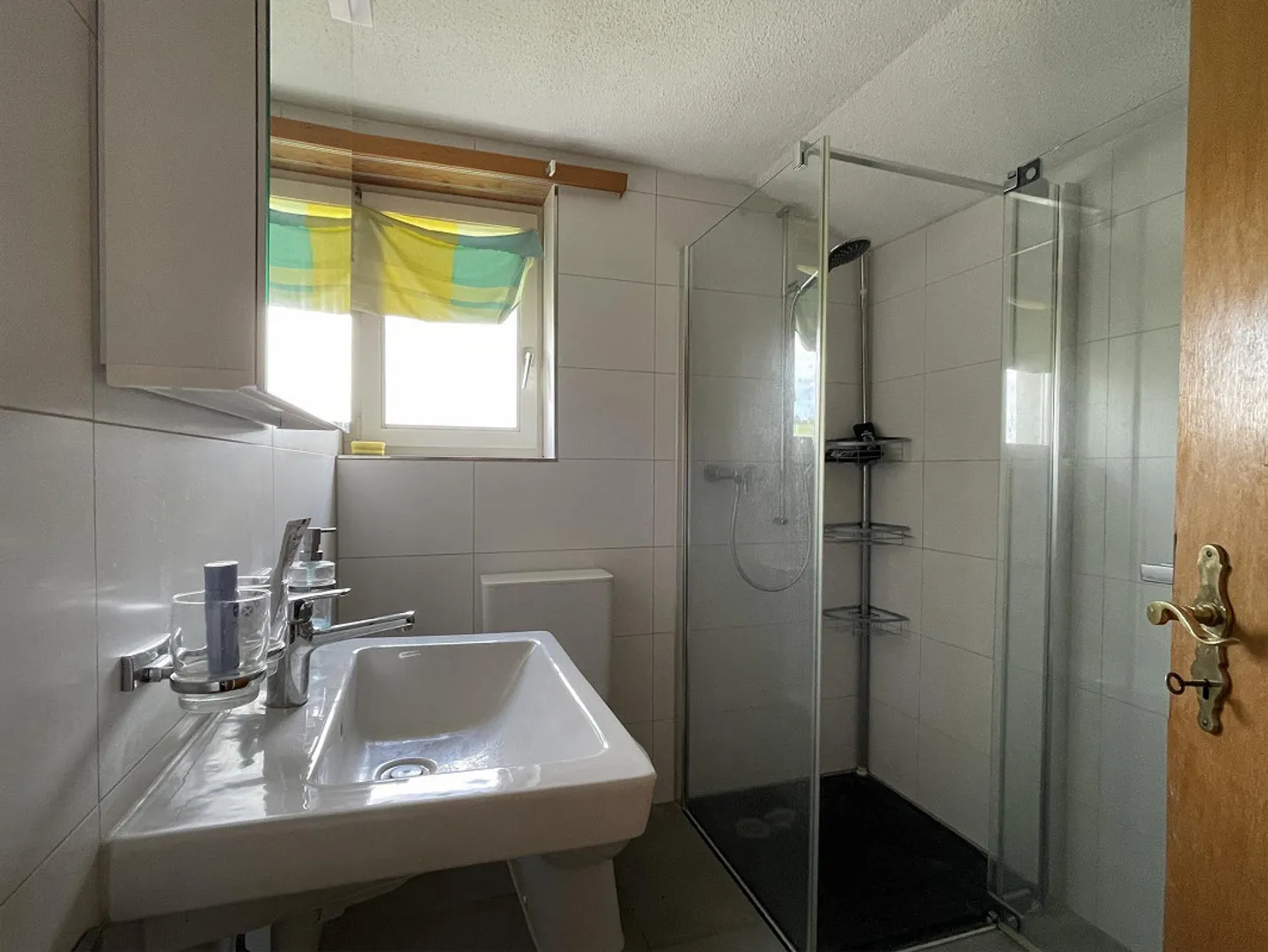 Charming 2.5 Room Attic Apartment - Photo 5 of 11