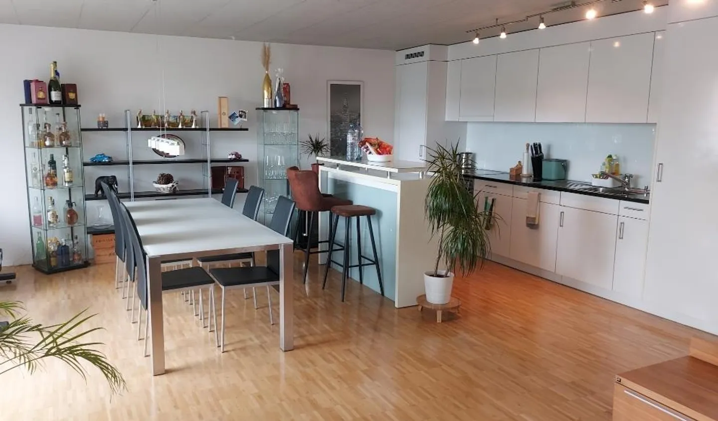 Furnished 2 1/2 Room Apartment Close to the Center Winterthur - Photo 1 of 3
