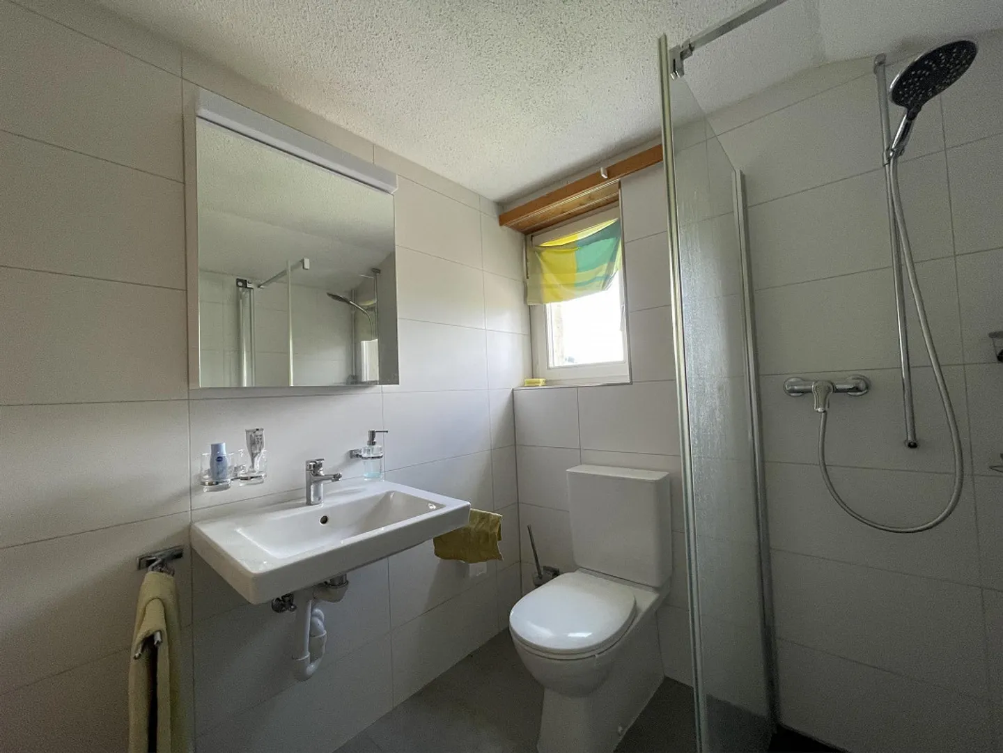 Charming 2.5 Room Attic Apartment - Photo 6 of 11