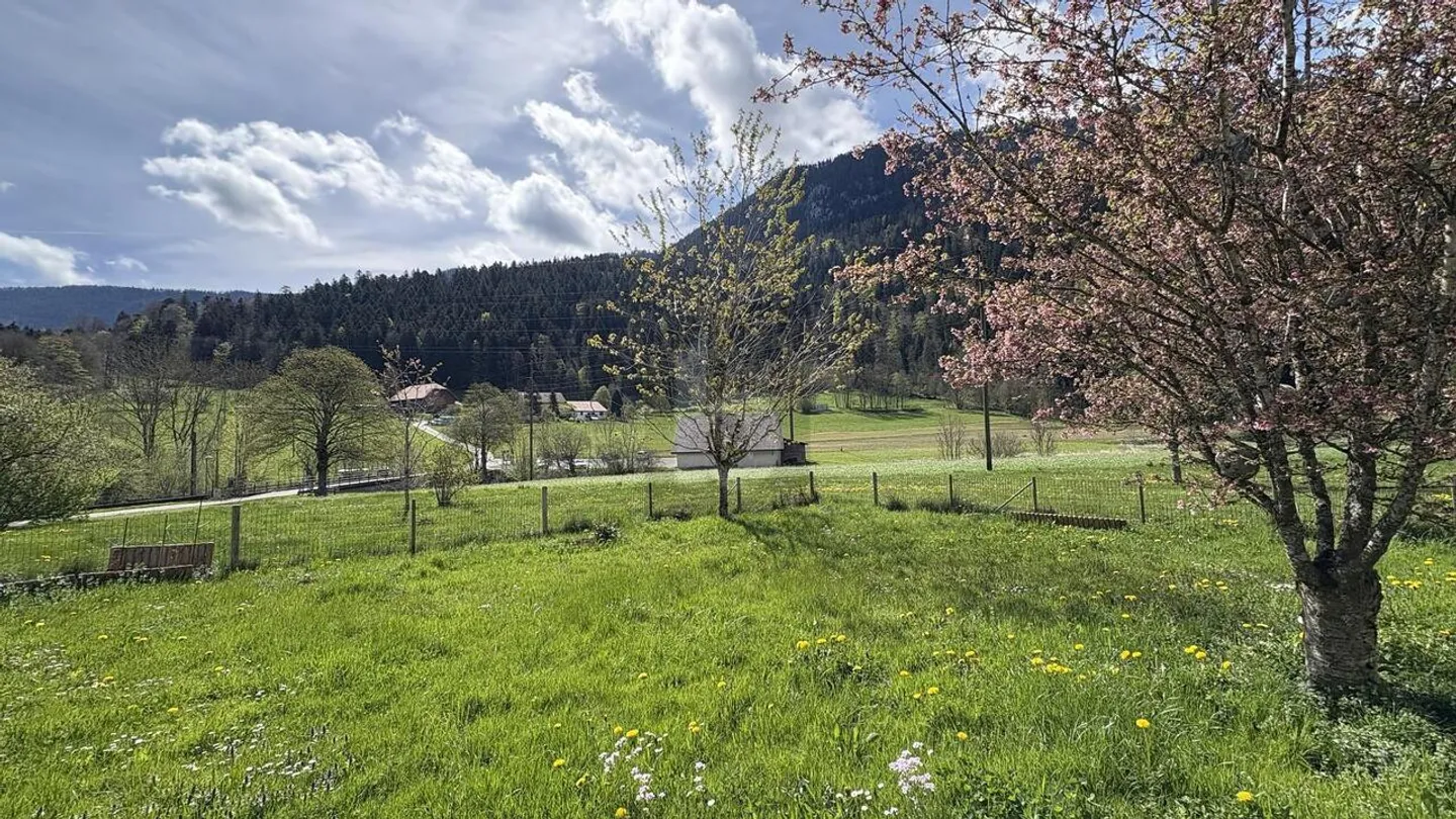 IN A IDYLLIC AND QUIET PLACE - Photo 2 of 6
