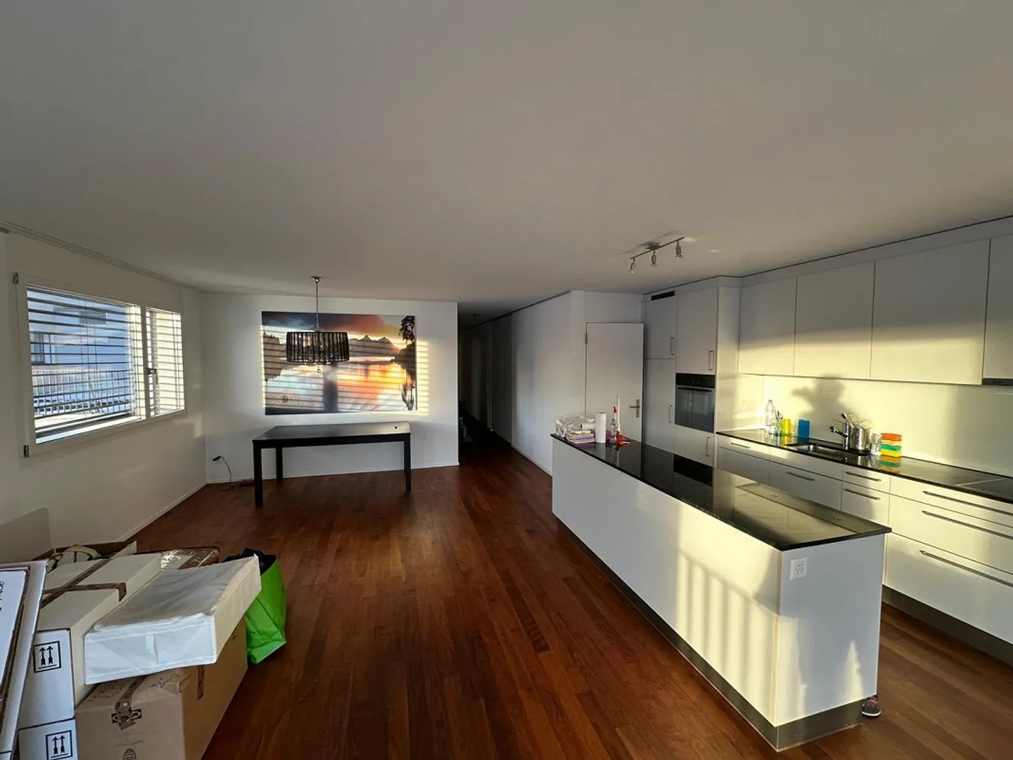 Modern 4.5 room apartment in Oberägeri with breathtaking views - Photo 3 of 12