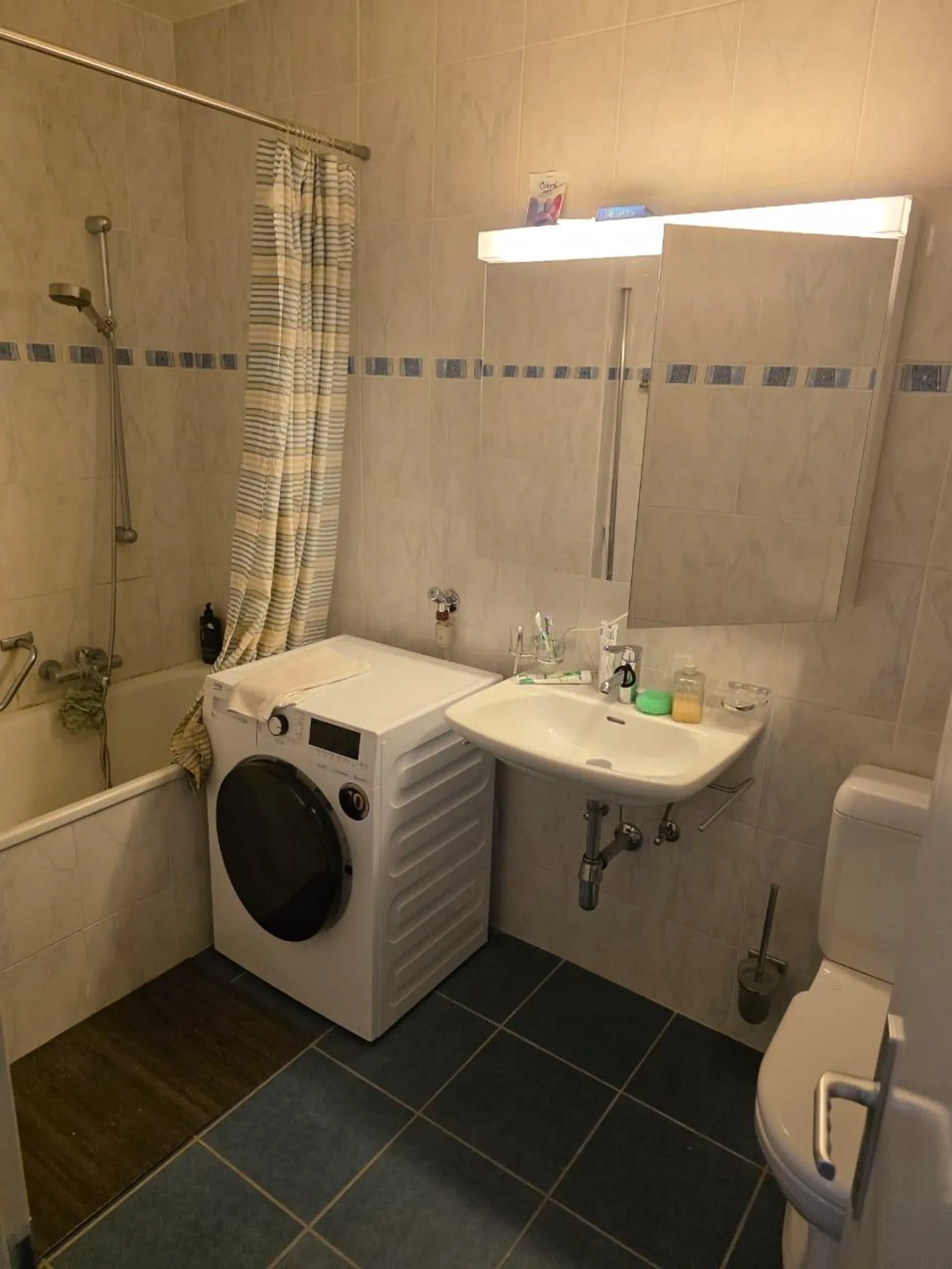 Spacious 5-room apartment with balcony - Photo 8 of 9