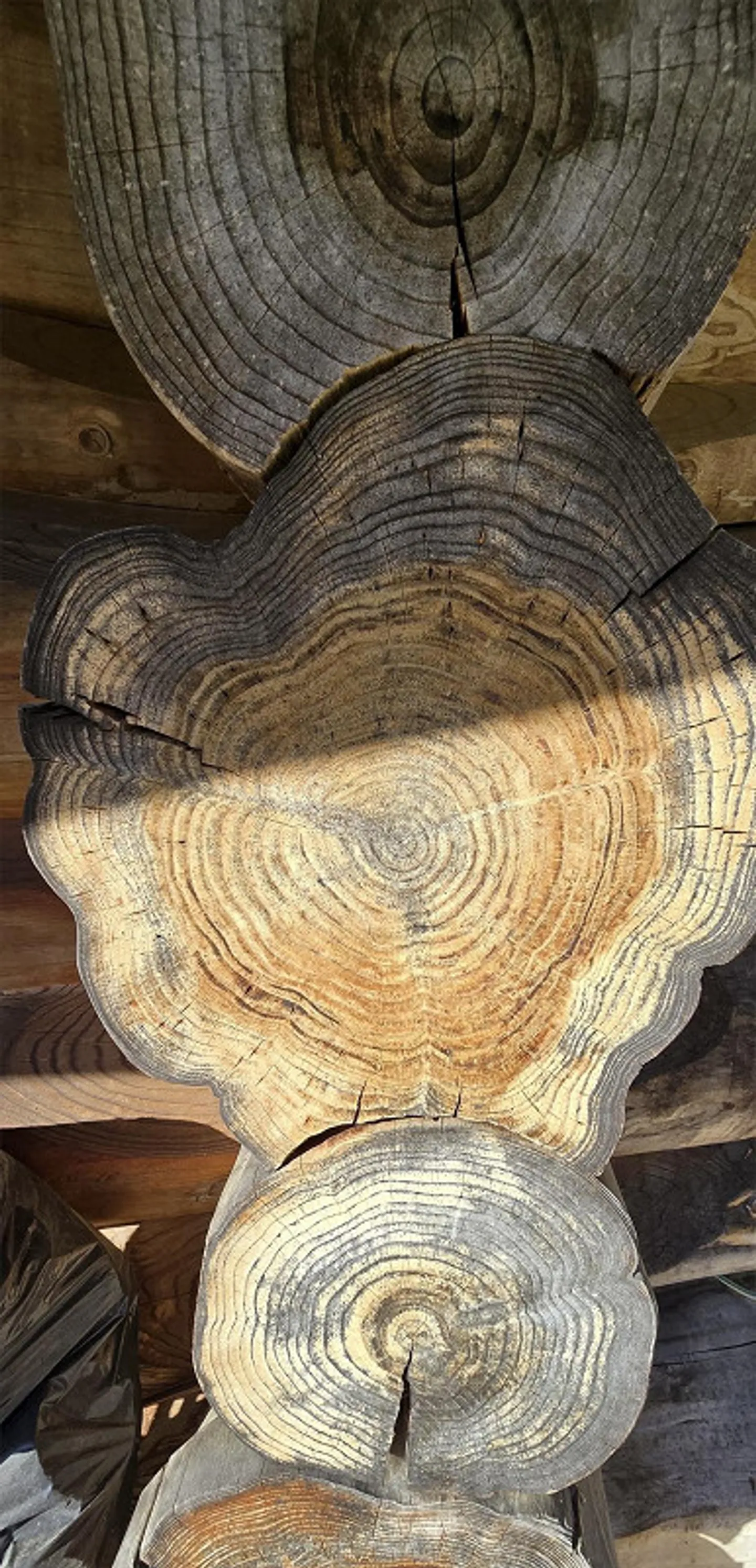 Bellissima casa in legno del 2007 in vendita - Foto 6 di 21