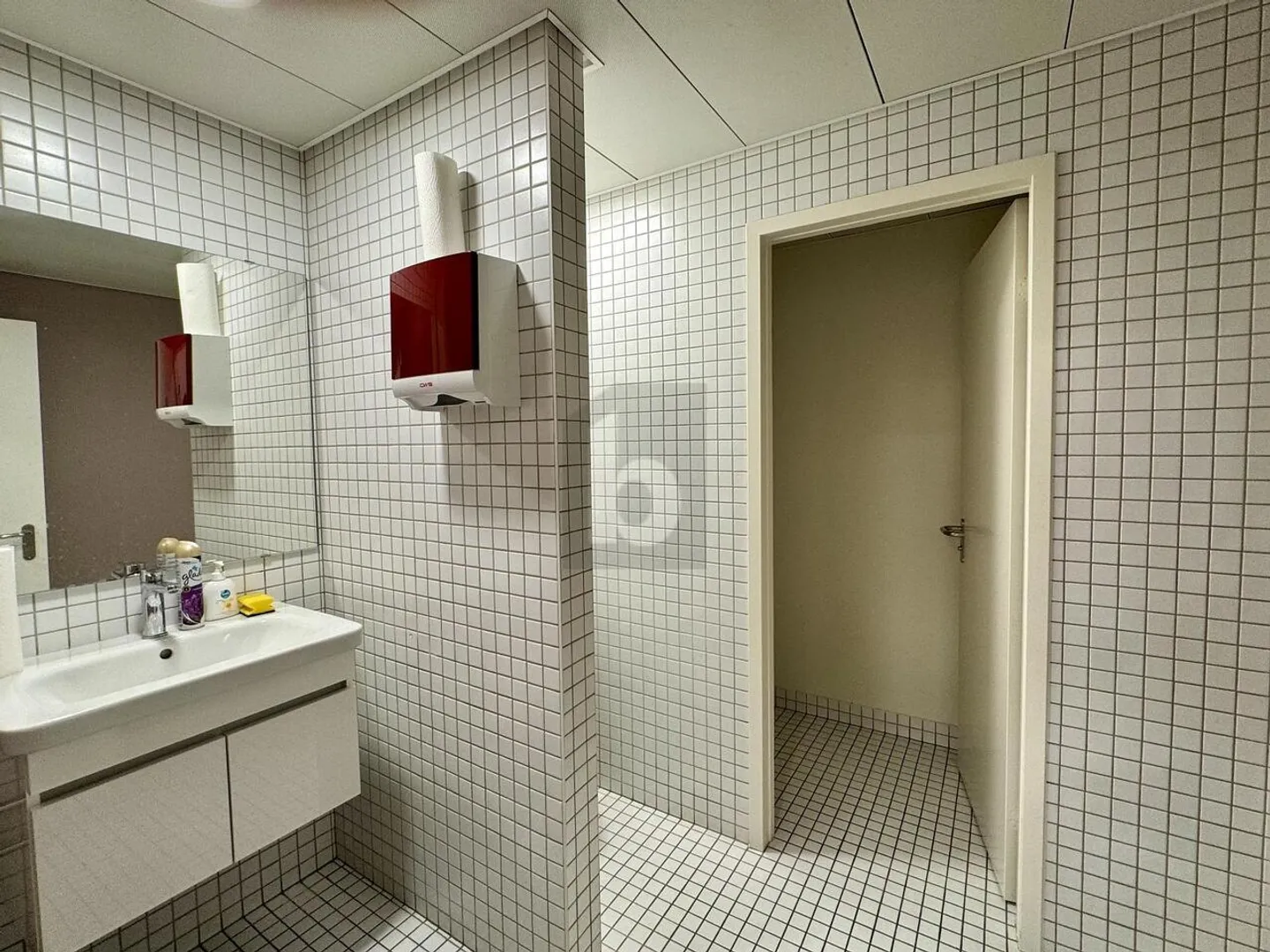 «MAGNIFIQUE EN PLEIN COEUR DE GENÈVE» - Photo 5 sur 6