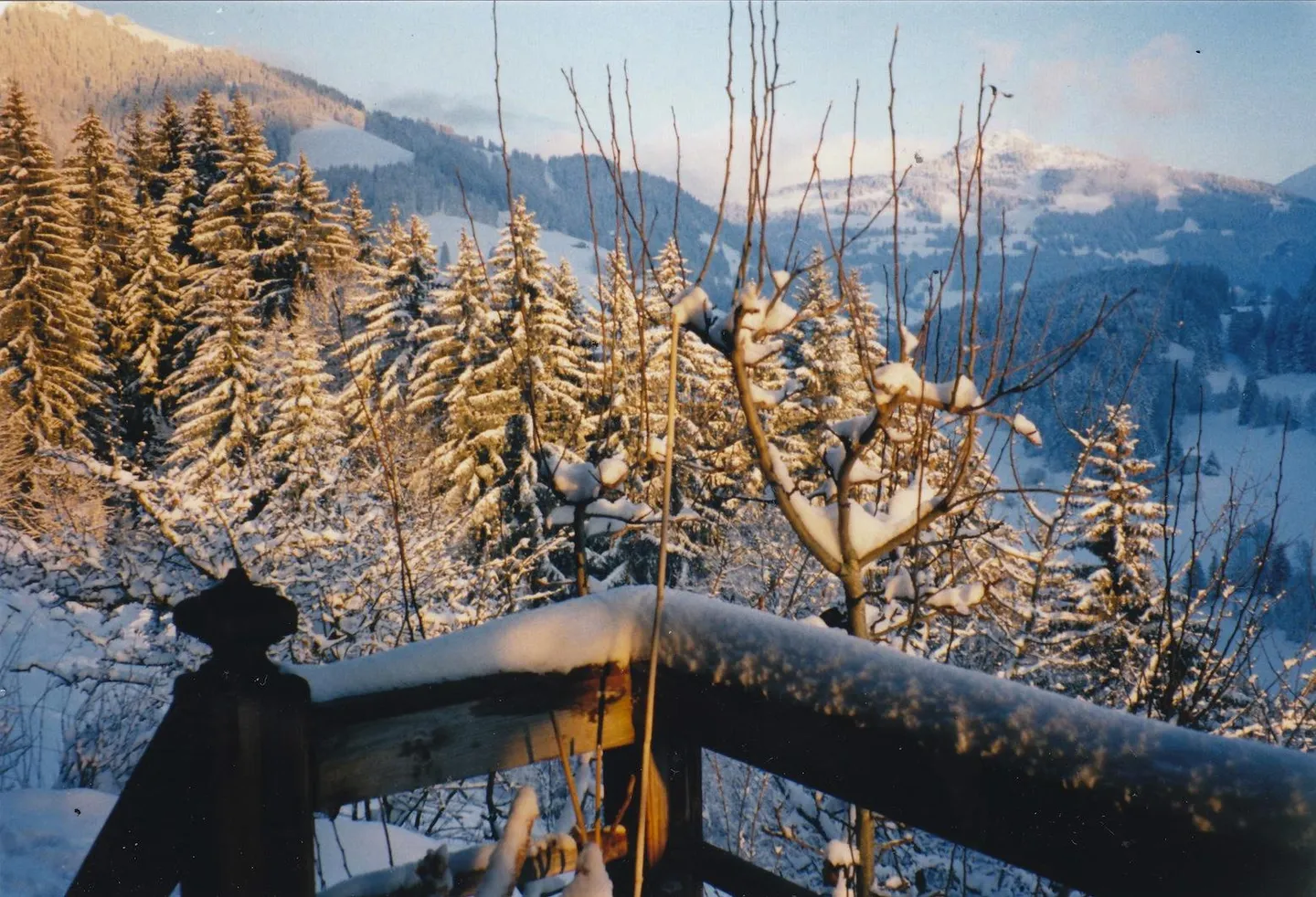 Chalet kaufen - Foto 35 von 41