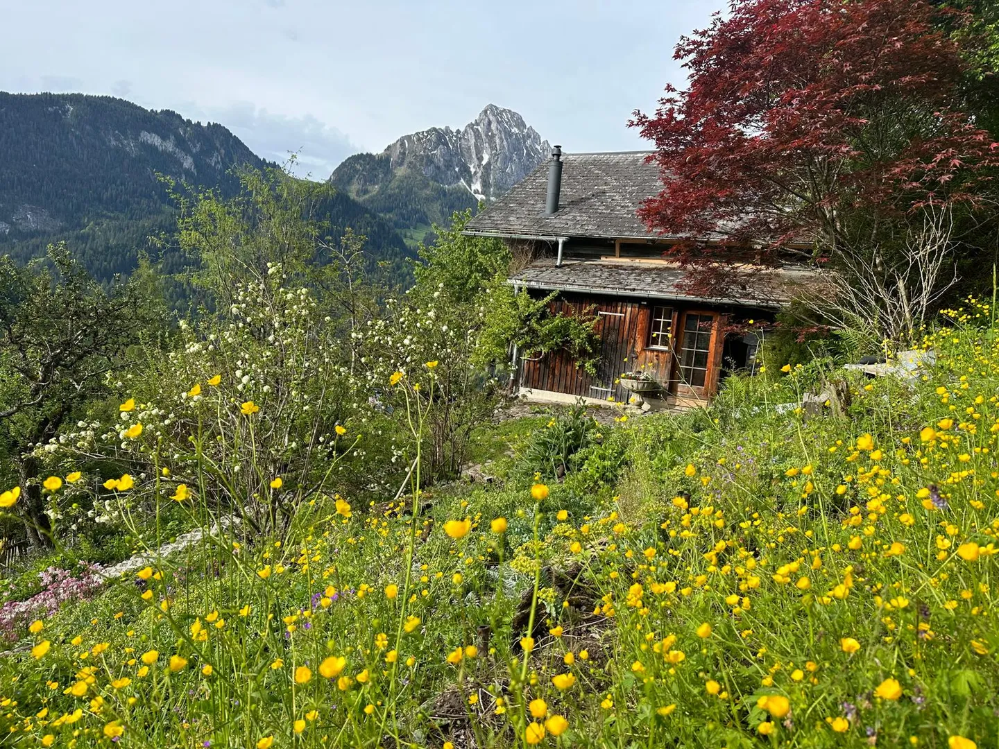 Chalet kaufen - Foto 36 von 41