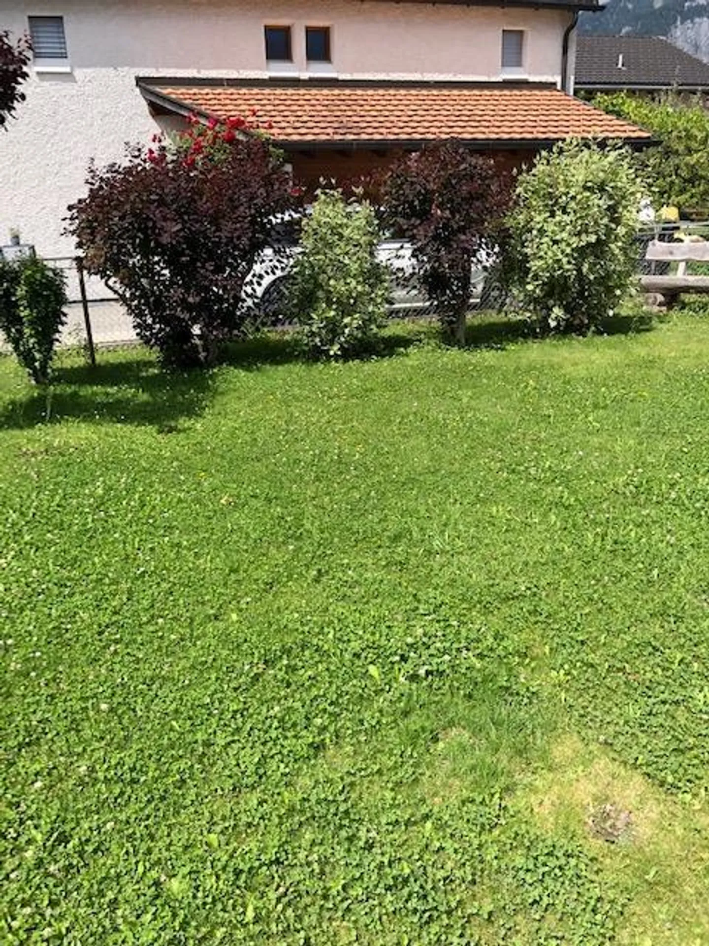 Appartement 3.5 pièces. Emplacement ensoleillé et vie tranquille - Photo 22 sur 26