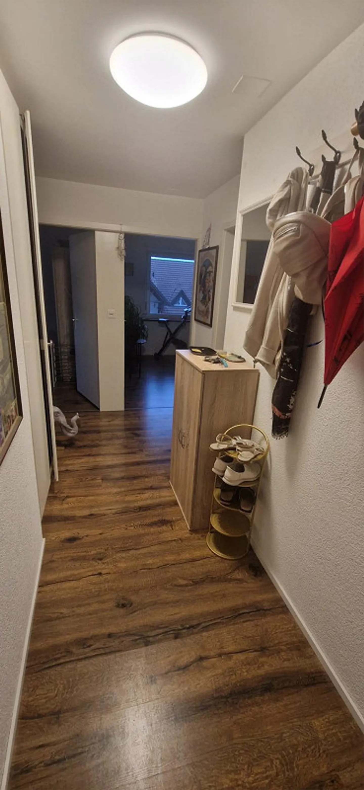 Bella appartamento di 3 stanze con vista lago - Foto 5 di 9