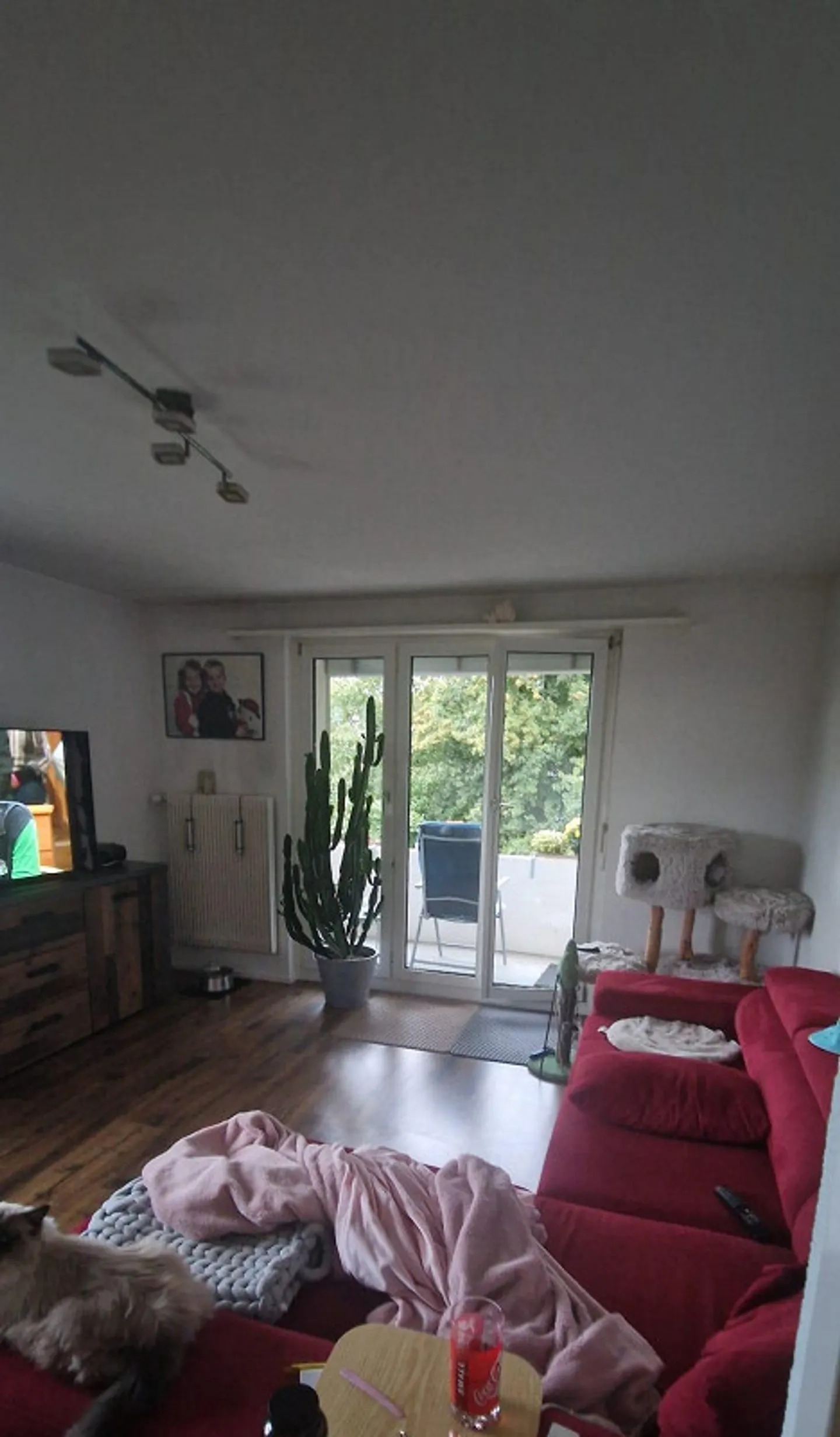 Bella appartamento di 3 stanze con vista lago - Foto 8 di 9