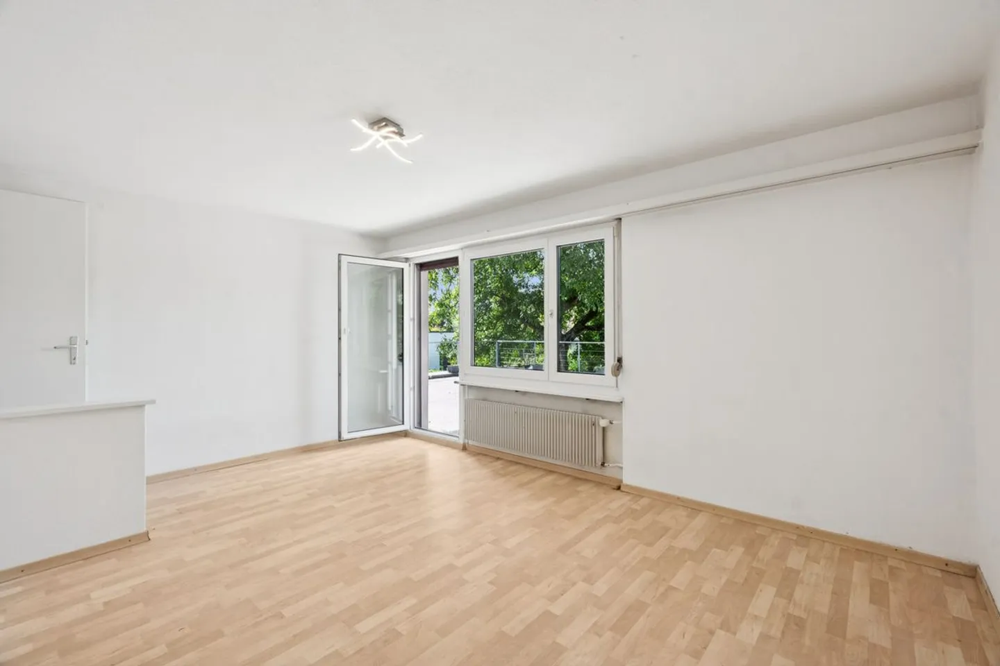 Single-family home with a separate apartment - Photo 8 of 13